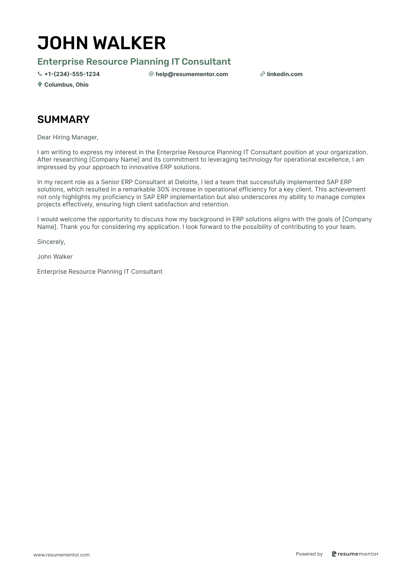 Enterprise Resource Planning IT Consultant
