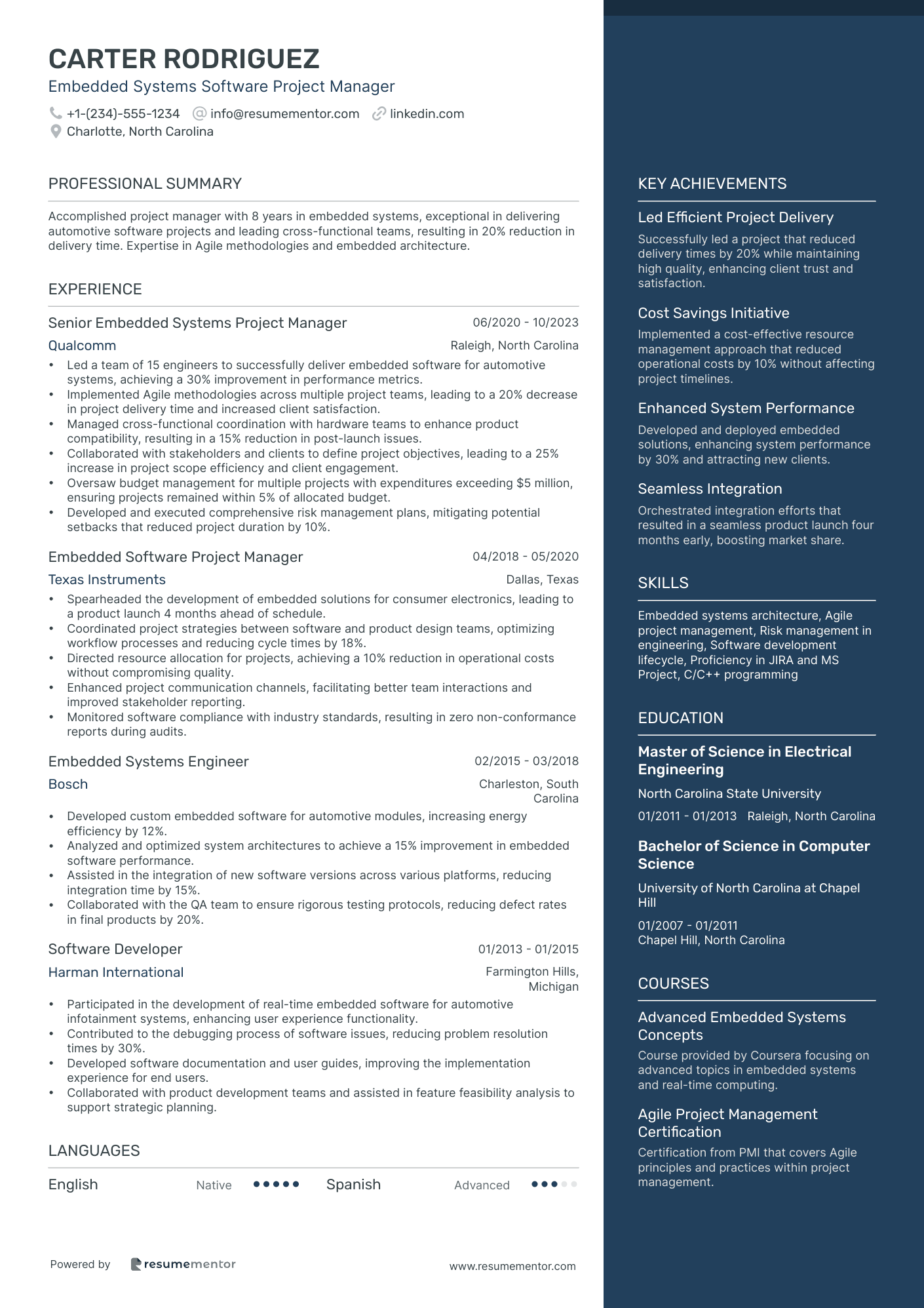 Embedded Systems Software Project Manager
