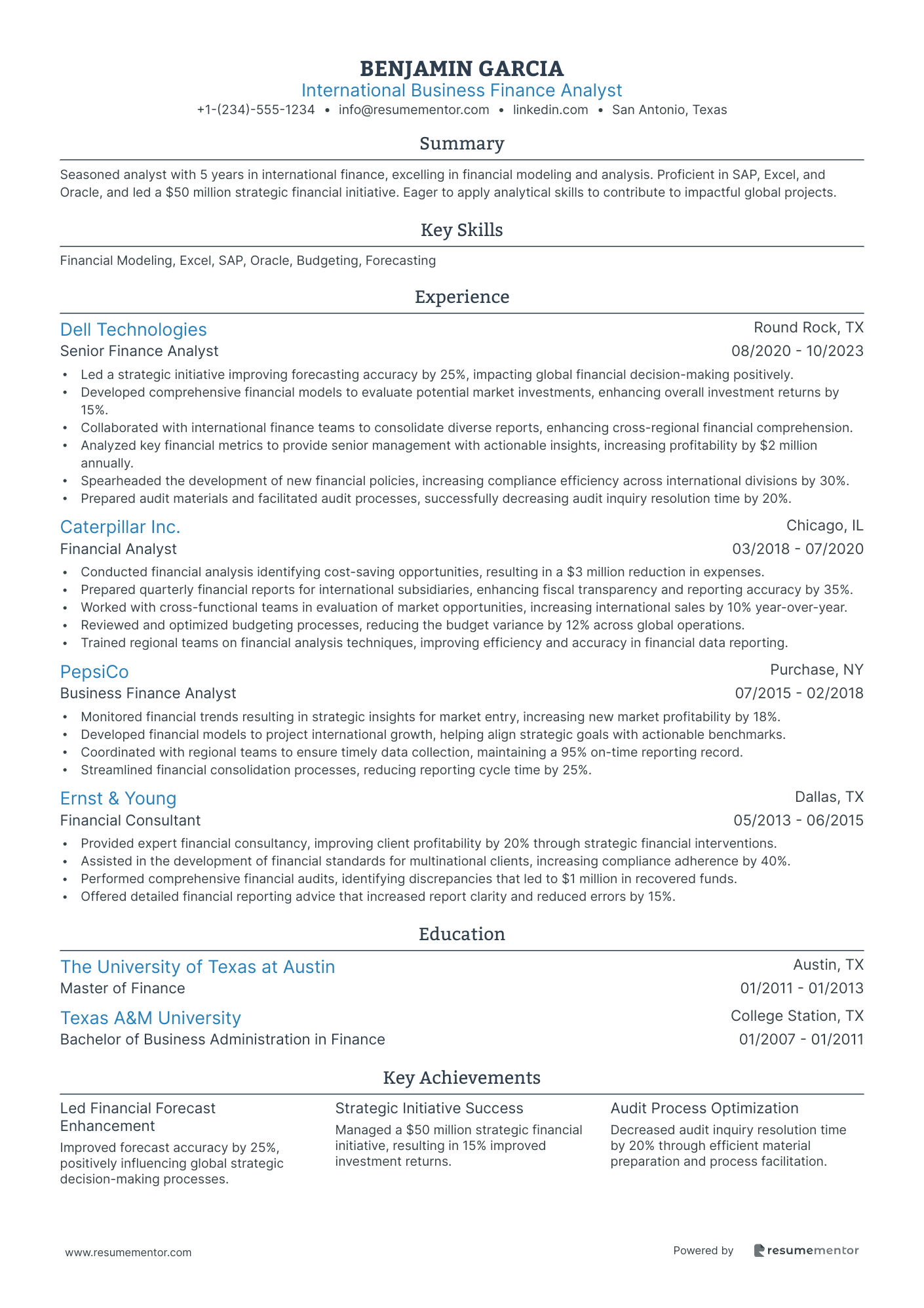International Business Finance Analyst