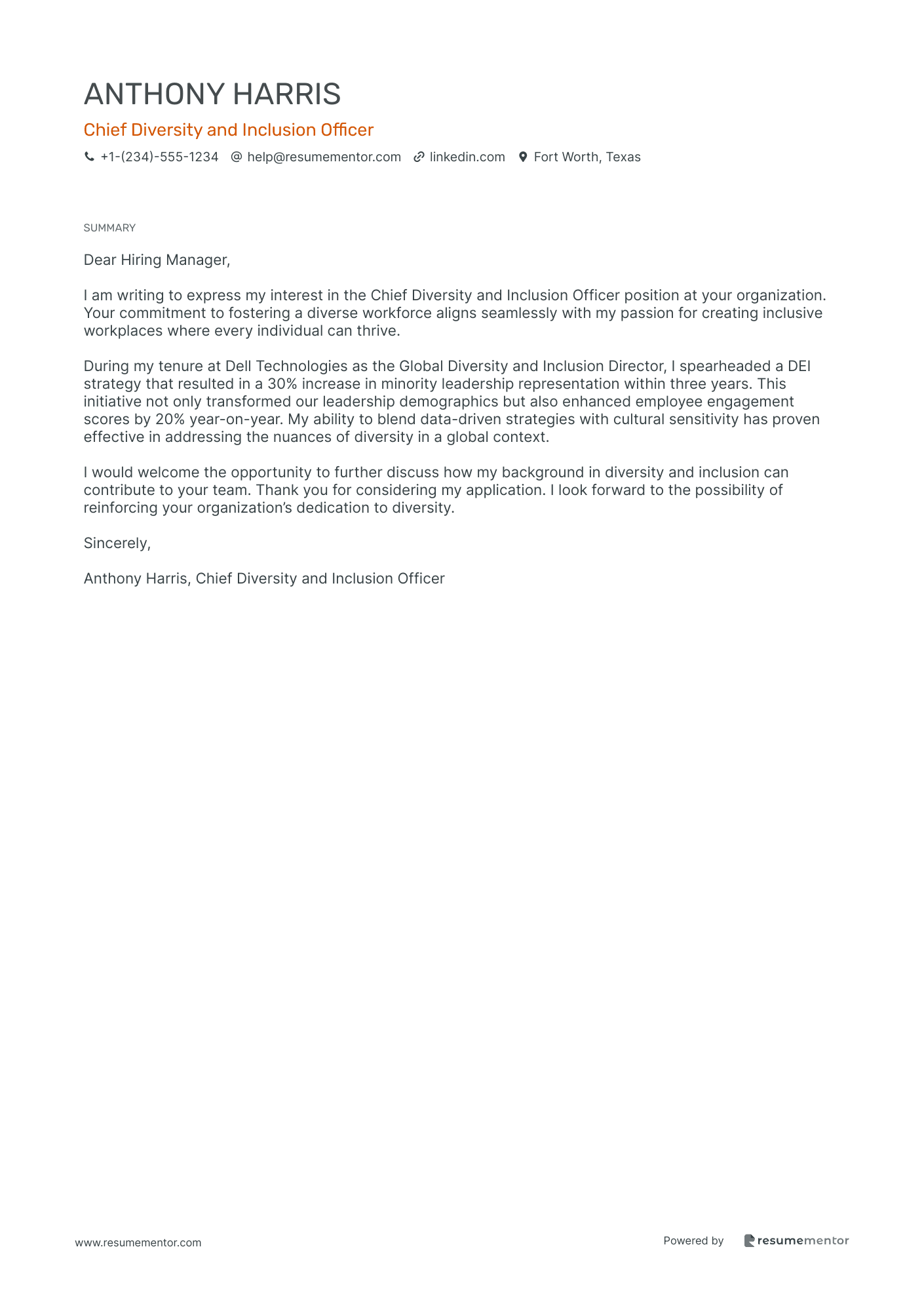 Chief Diversity and Inclusion Officer