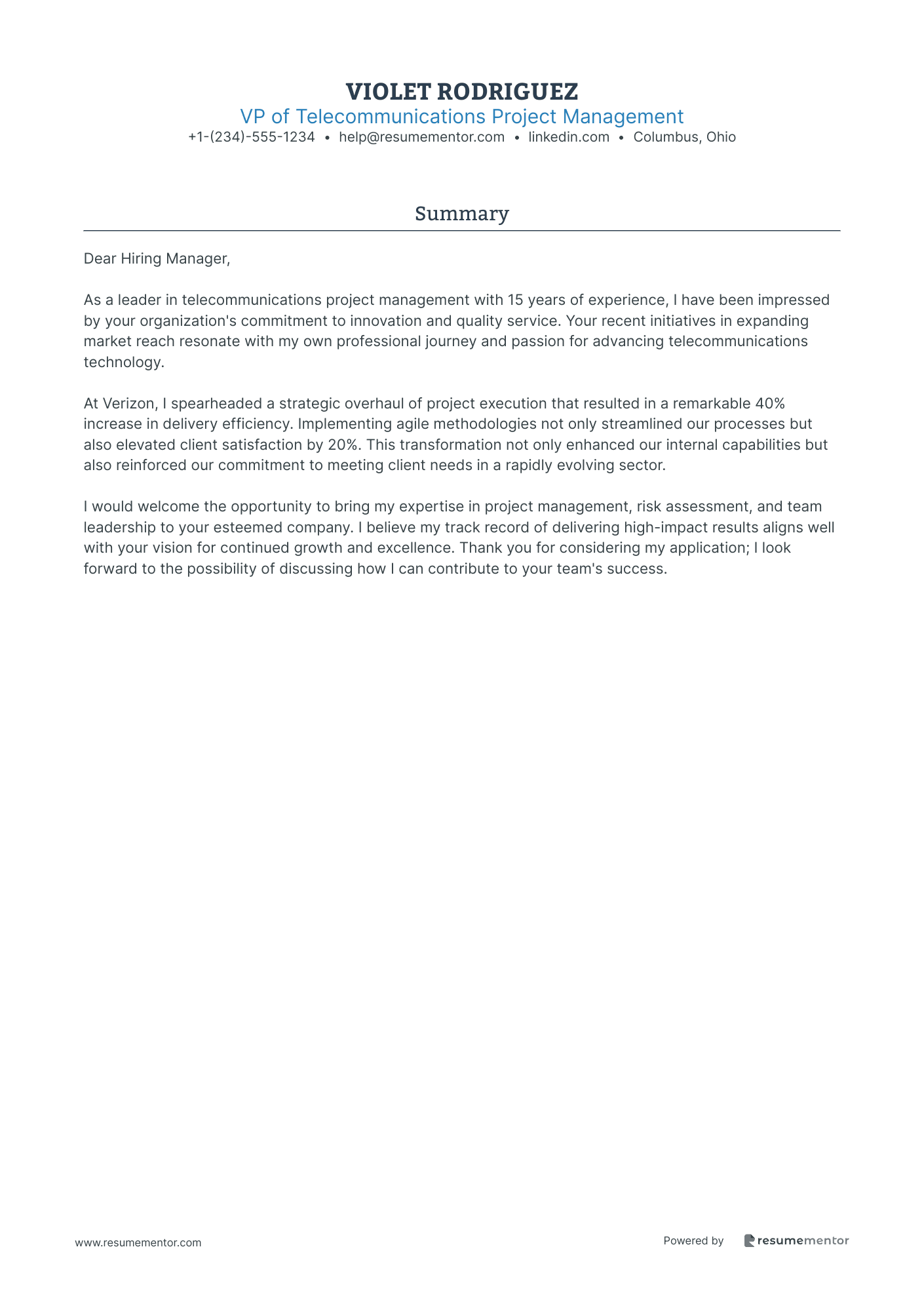 VP of Telecommunications Project Management