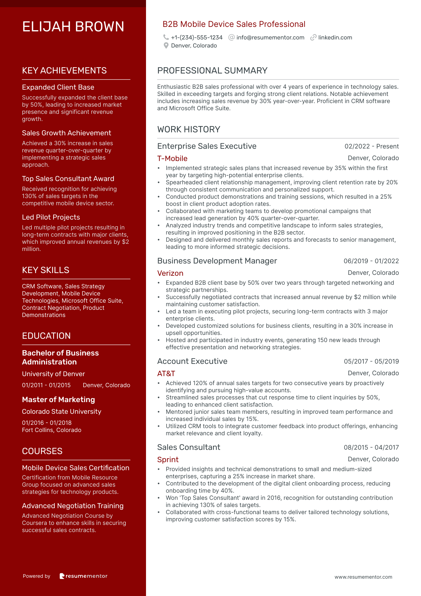 B2B Mobile Device Sales Professional