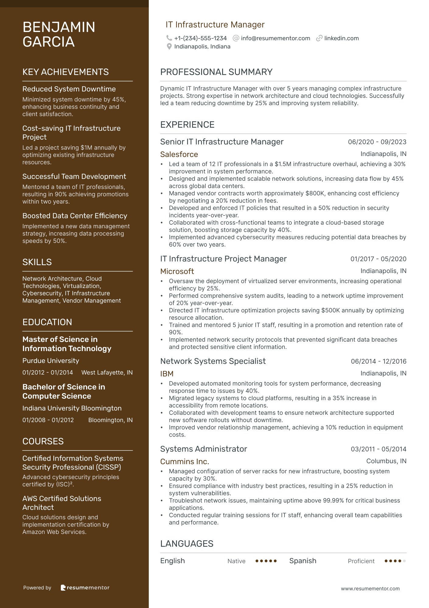 IT Infrastructure Manager