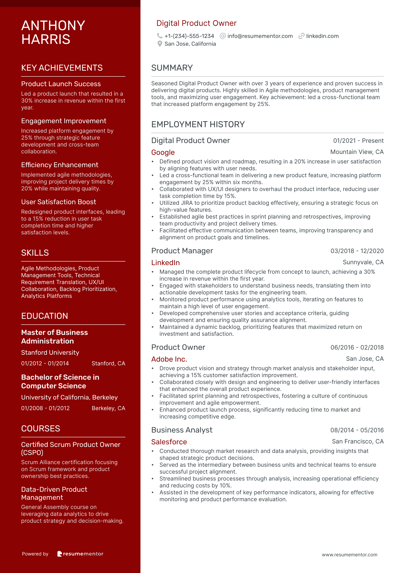 Digital Product Owner
