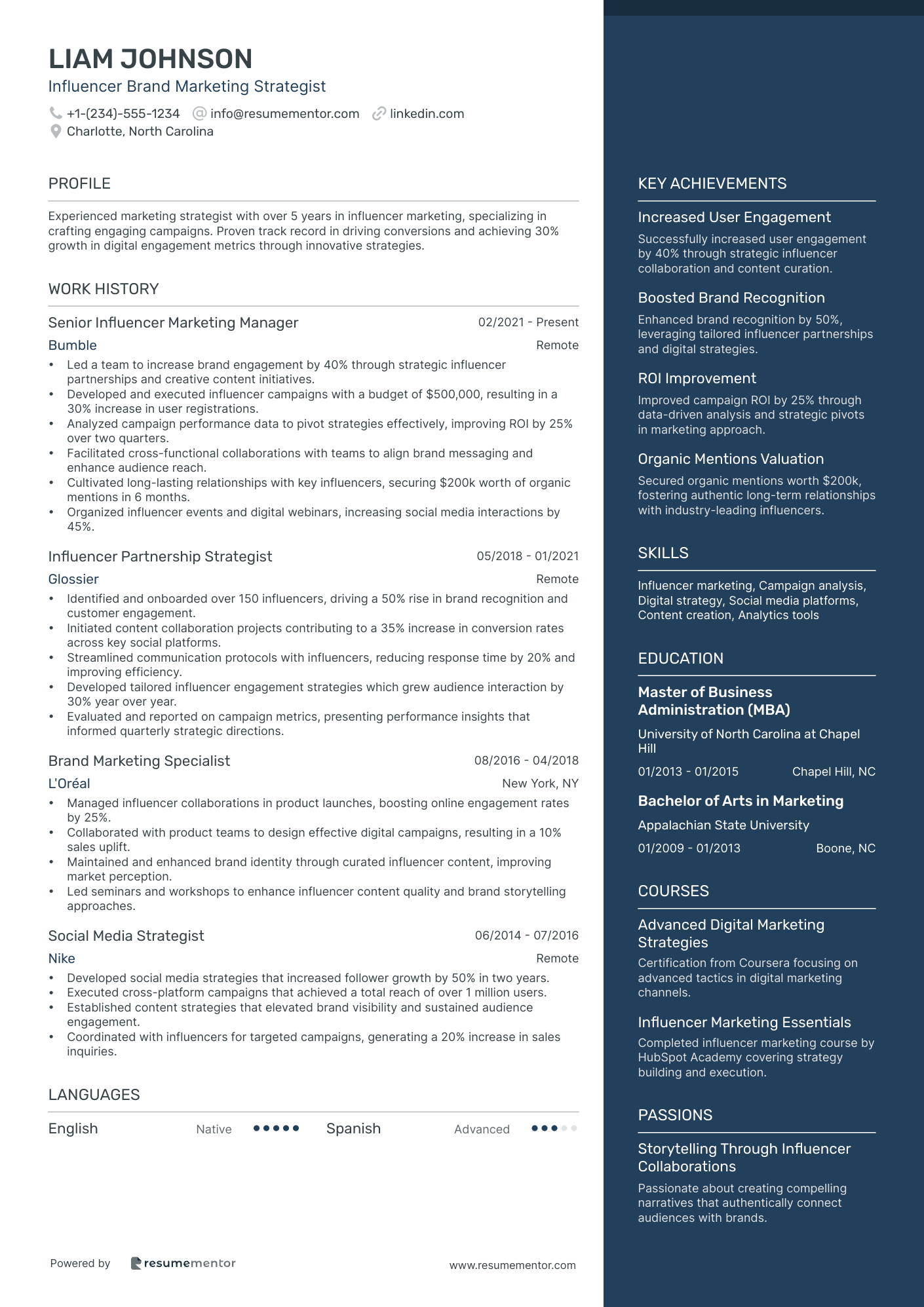 Influencer Brand Marketing Strategist