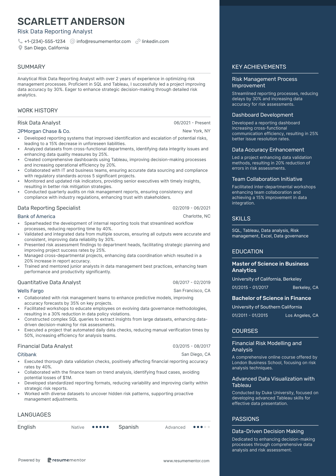 Risk Data Reporting Analyst