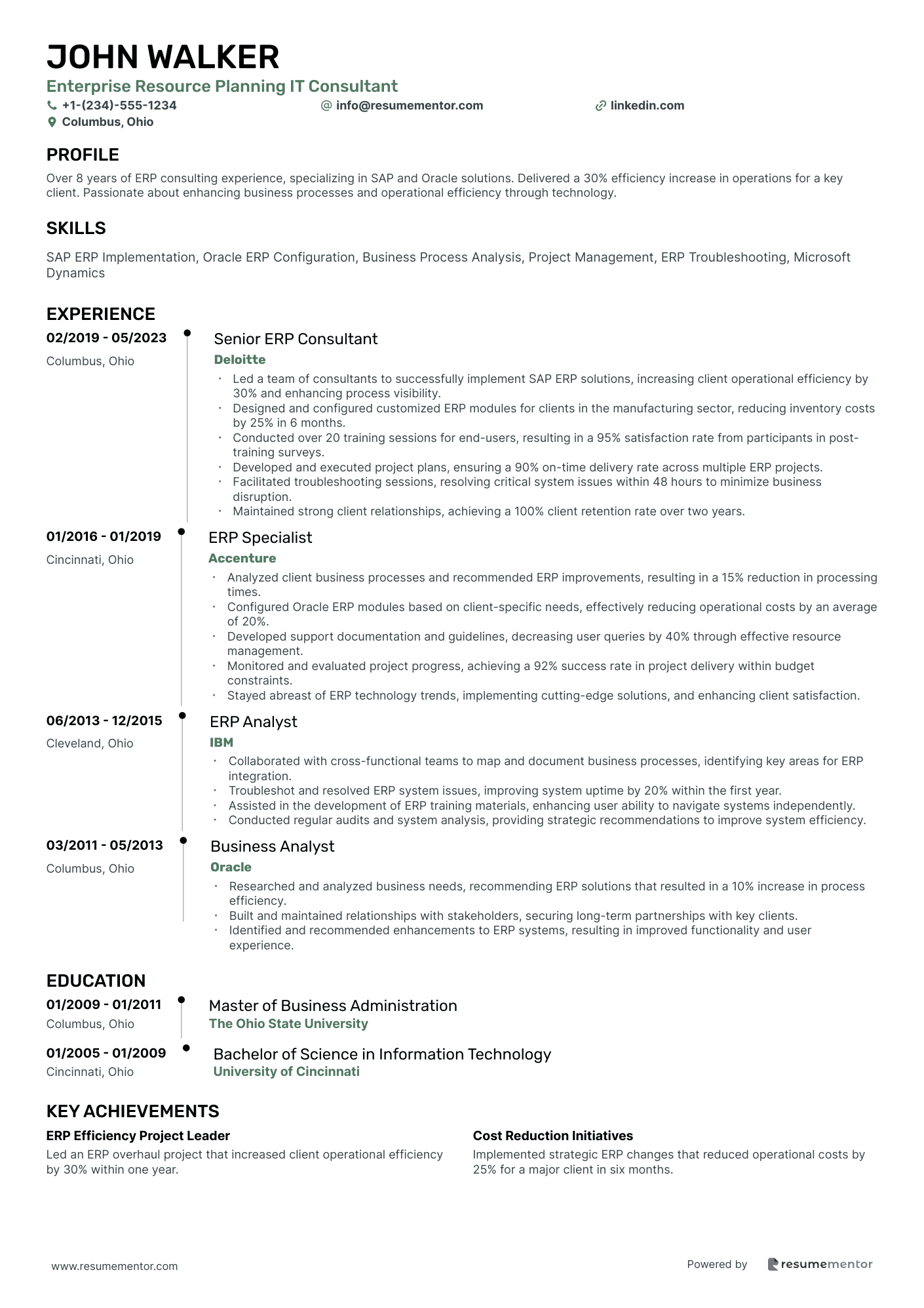 Enterprise Resource Planning IT Consultant