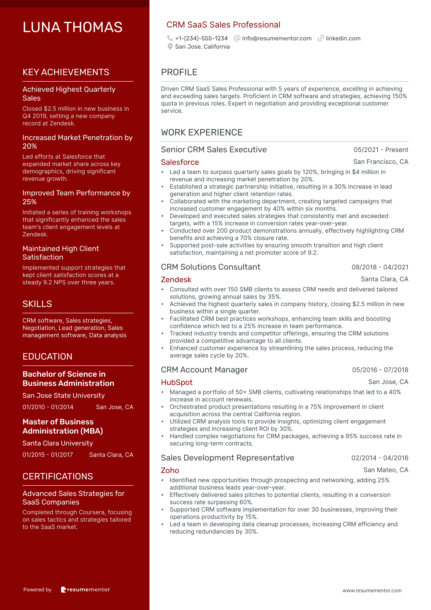 CRM SaaS Sales Professional