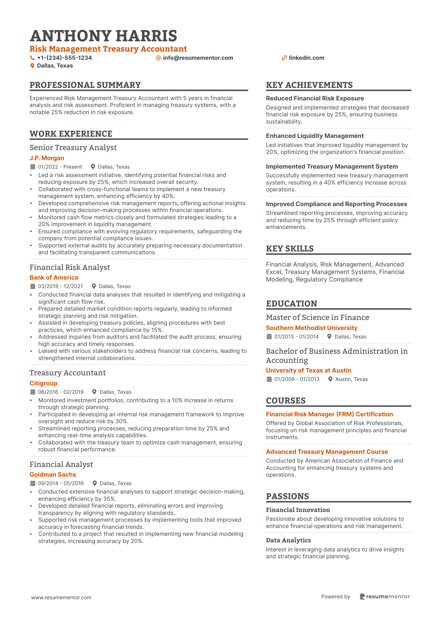 Risk Management Treasury Accountant