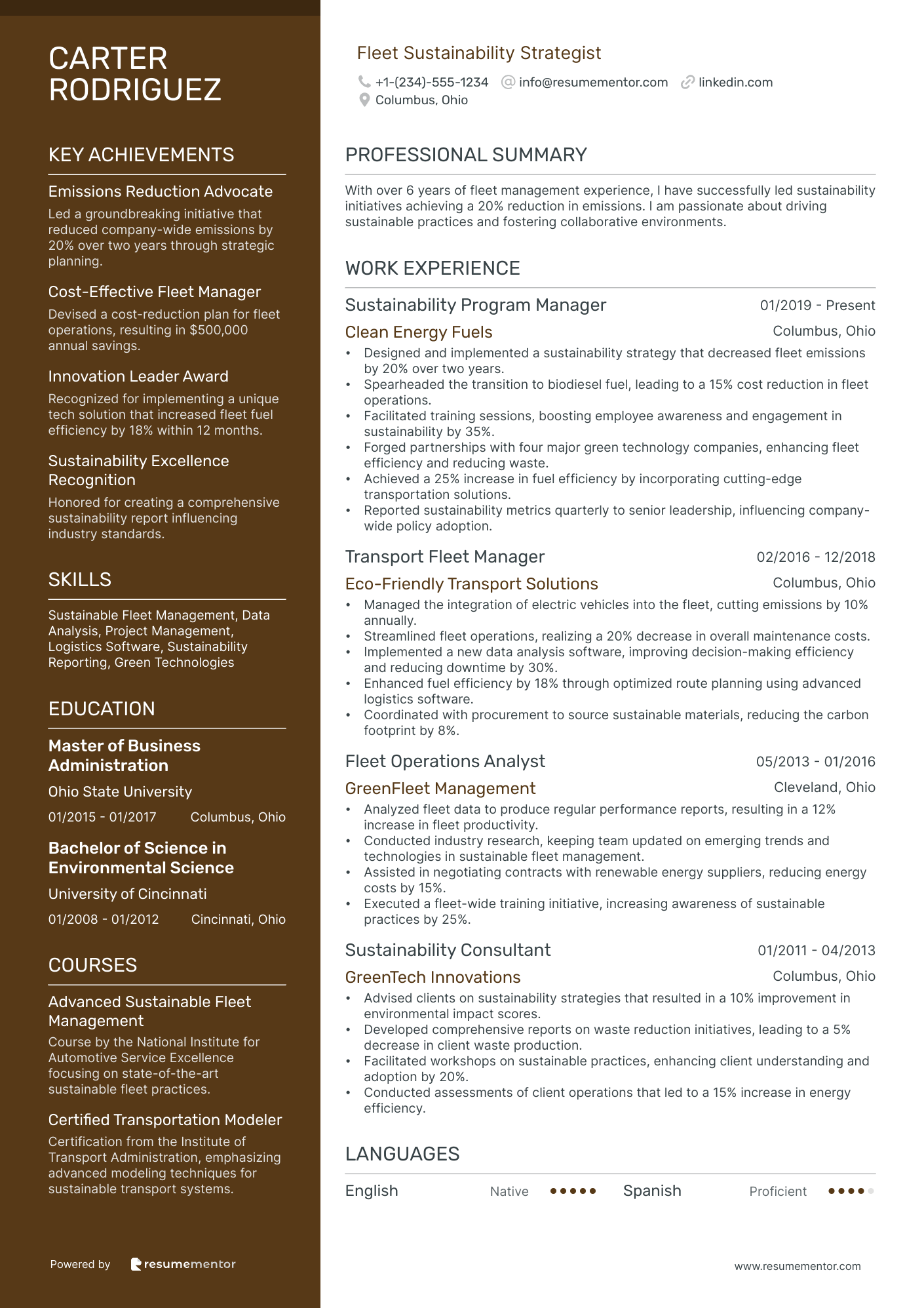 Fleet Sustainability Strategist
