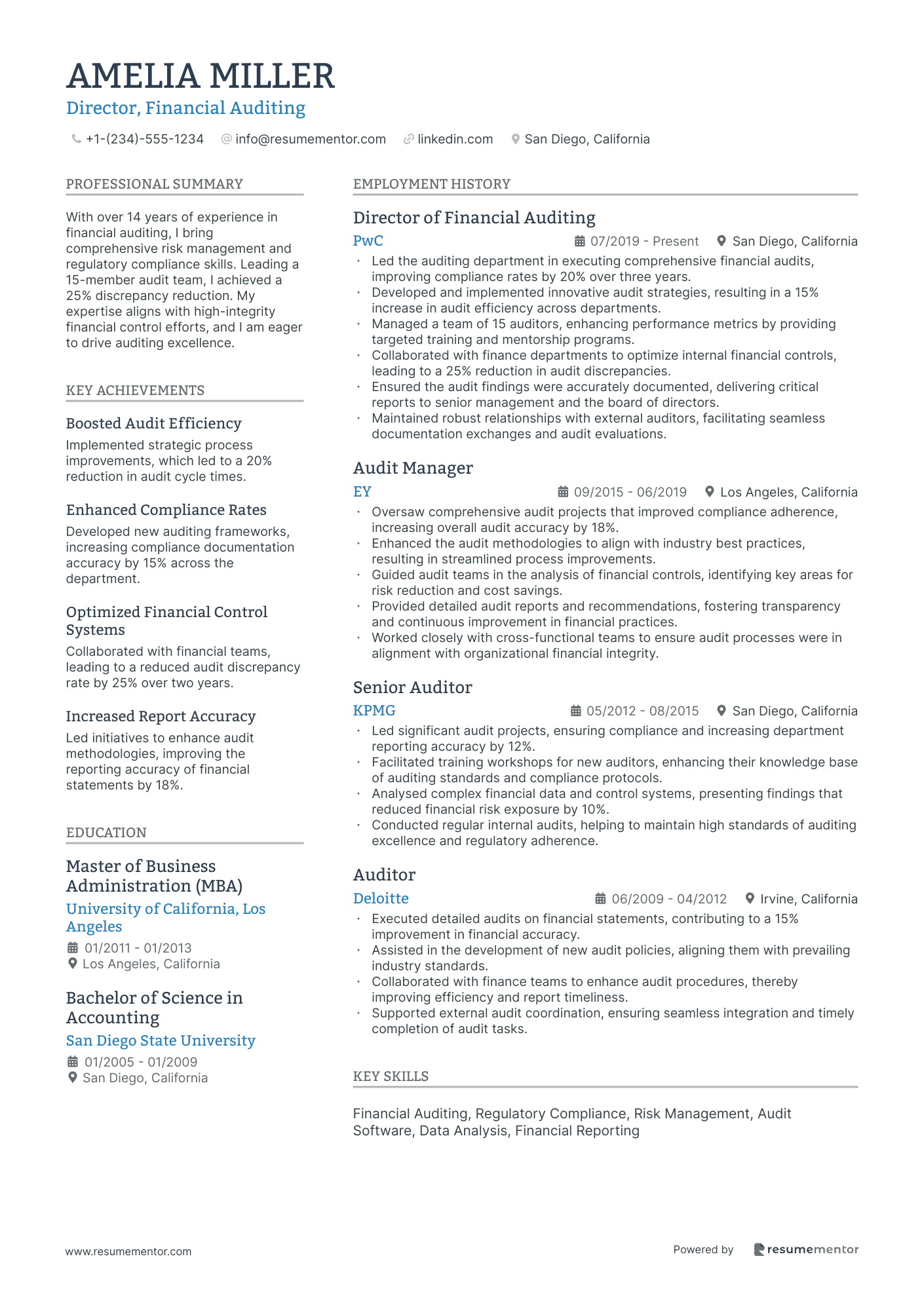 Director, Financial Auditing