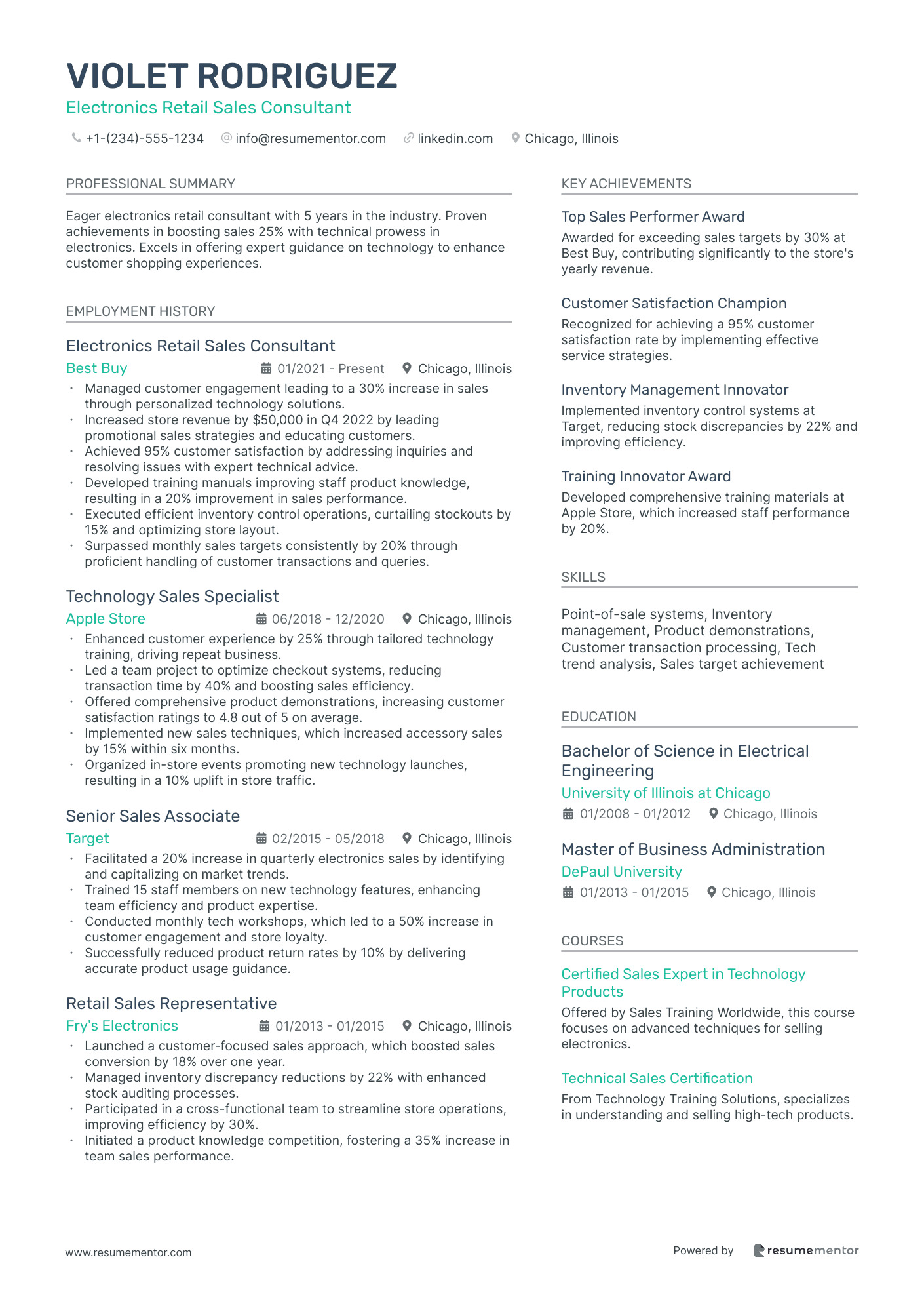 Electronics Retail Sales Consultant