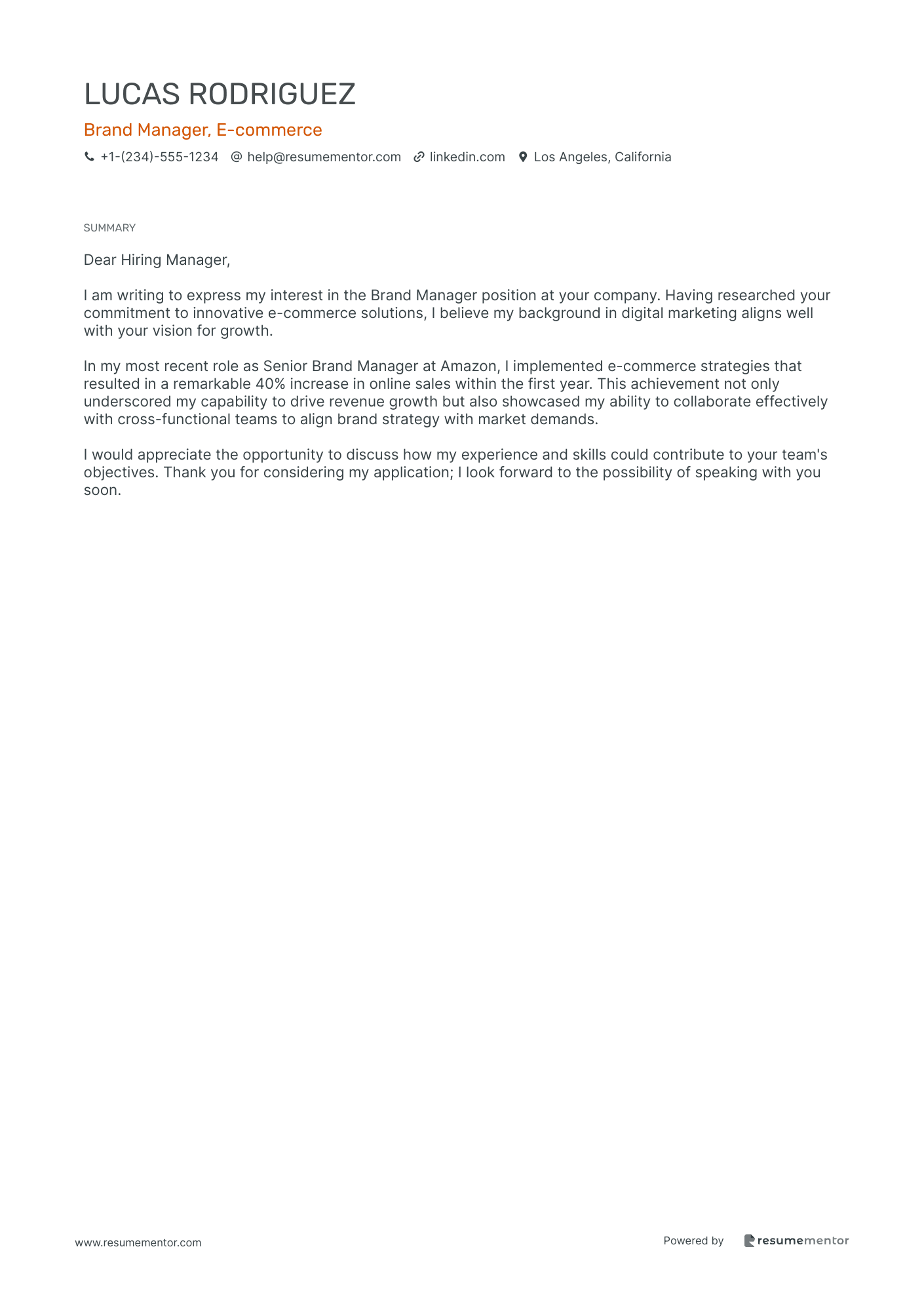 Brand Manager, e commerce
