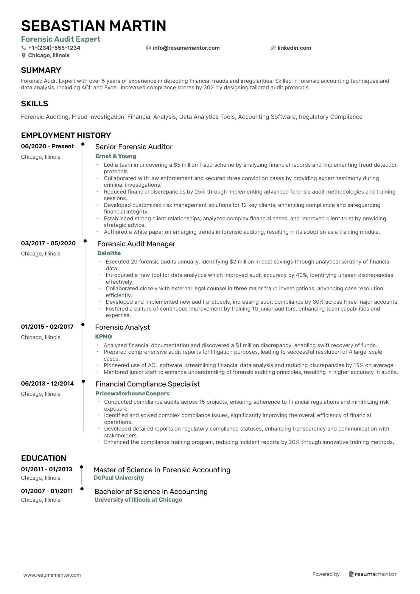 Forensic Audit Expert