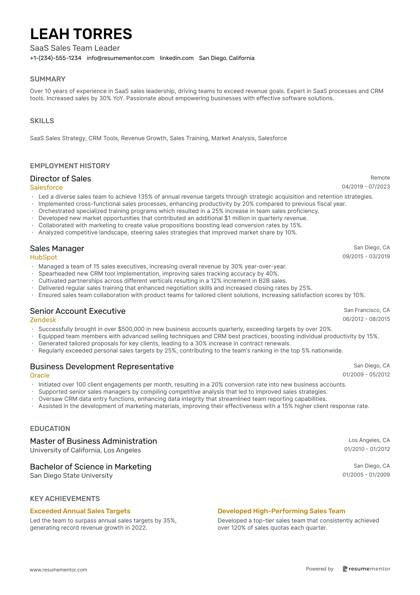 SaaS Sales Team Leader
