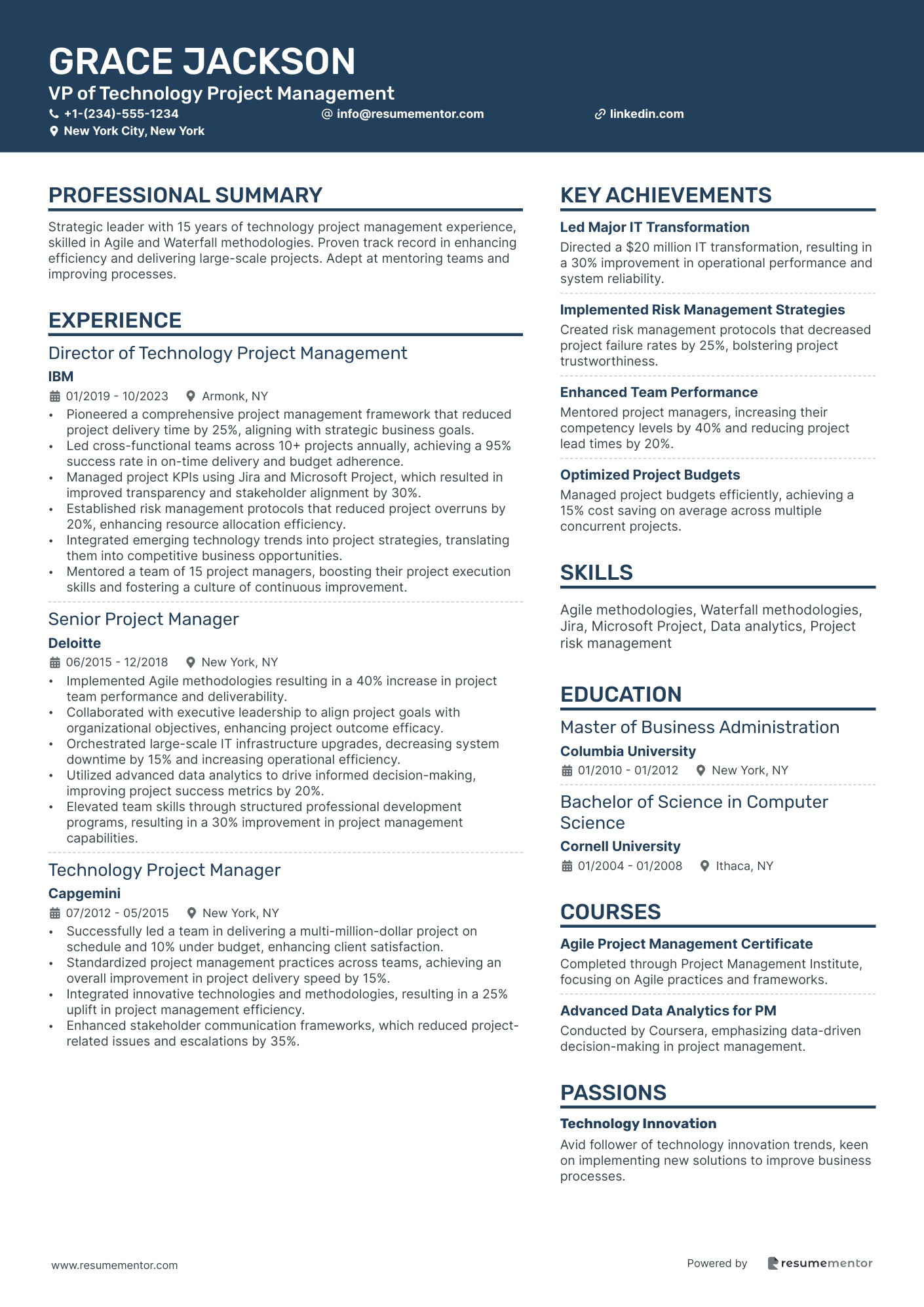 VP of Technology Project Management
