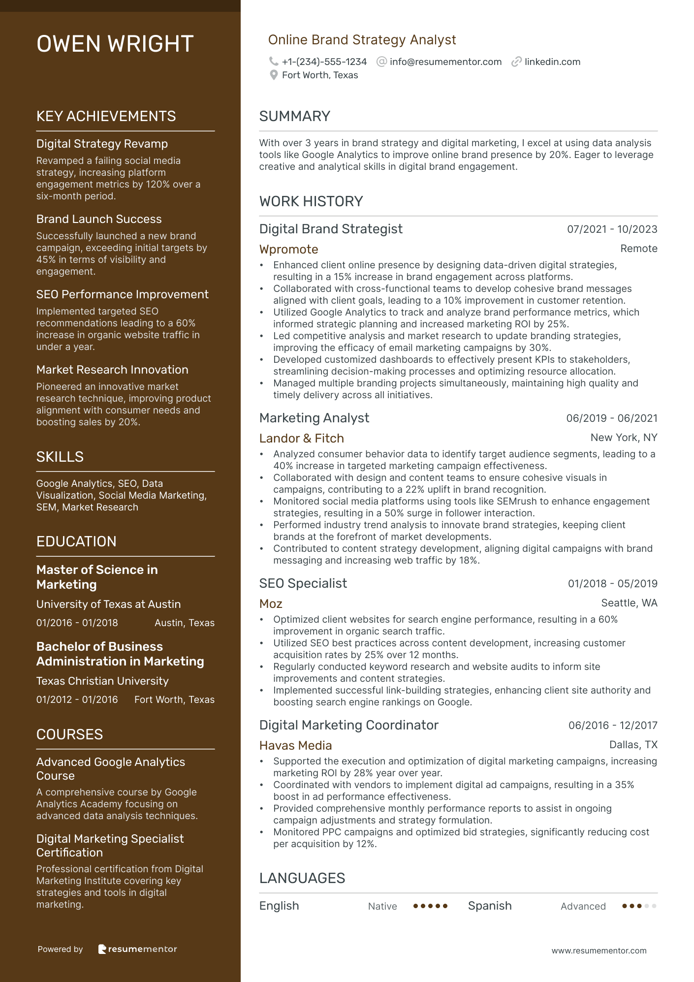 Online Brand Strategy Analyst