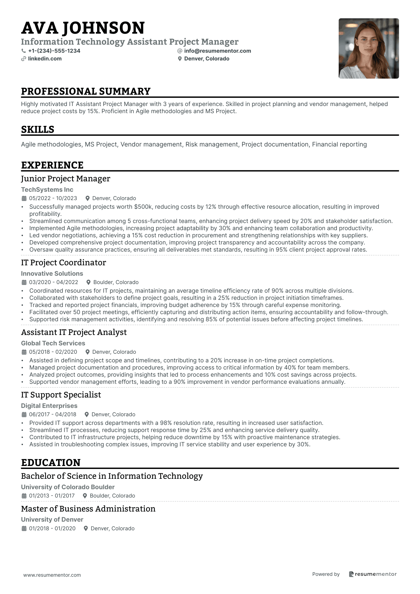 Information Technology Assistant Project Manager