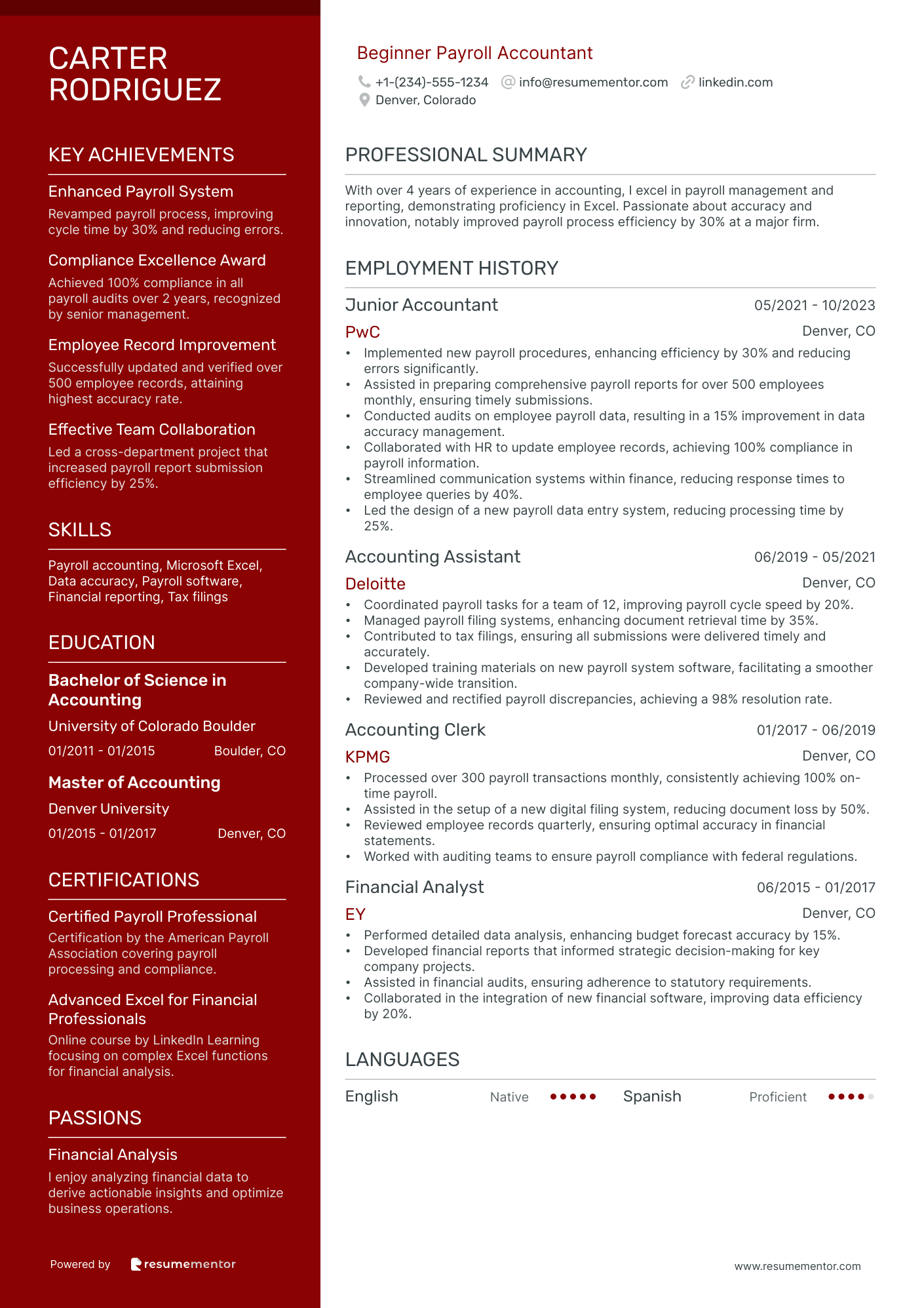 Beginner Payroll Accountant