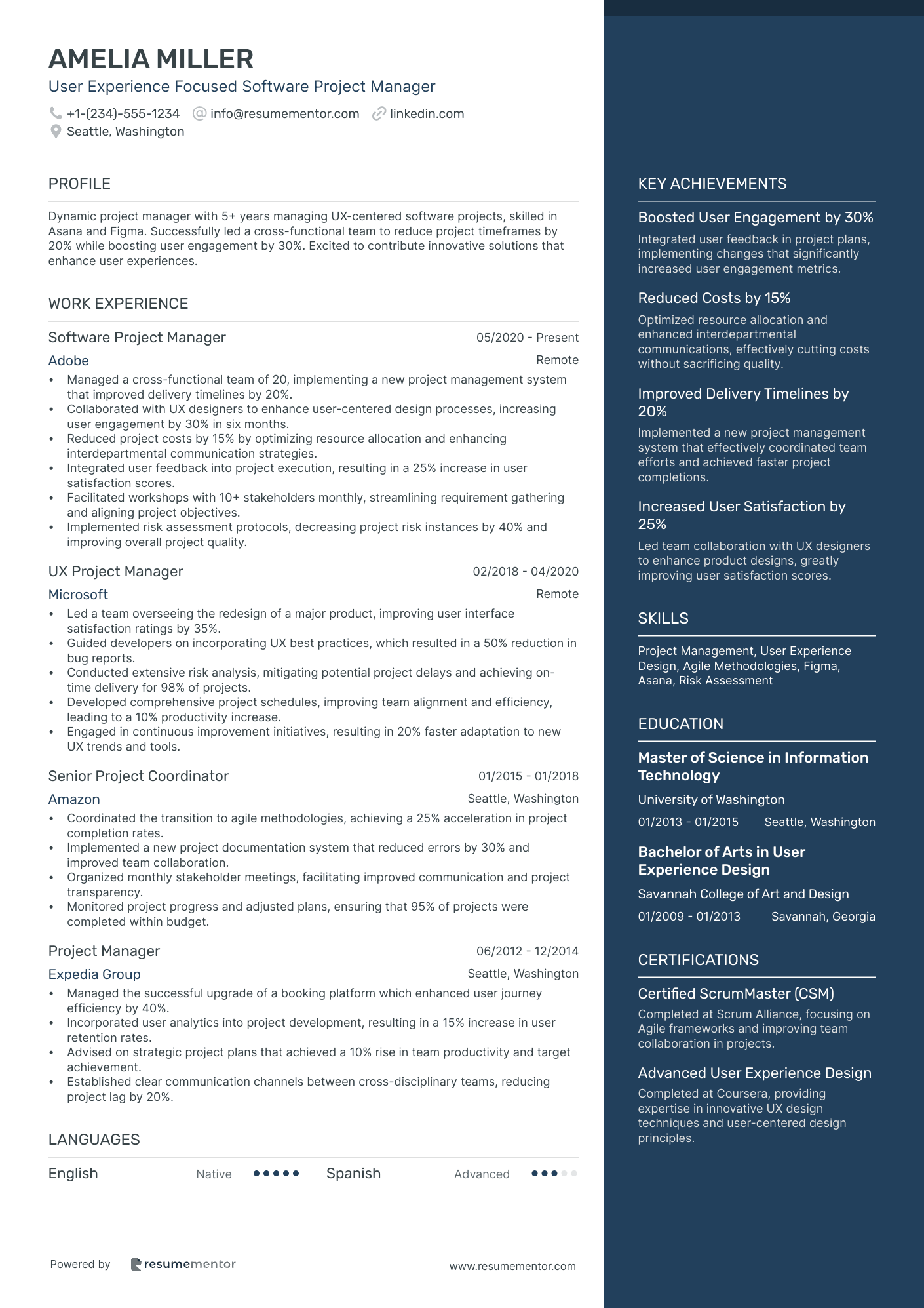 User Experience Focused Software Project Manager