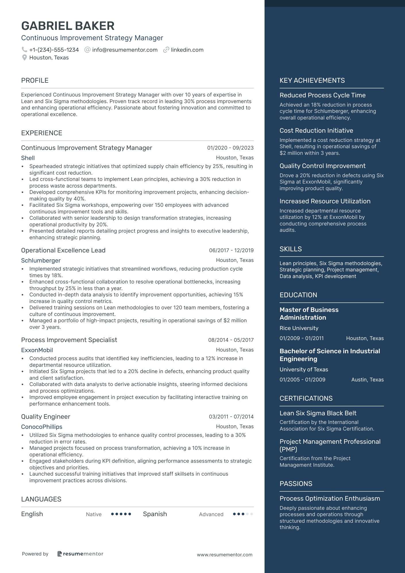 Continuous Improvement Strategy Manager