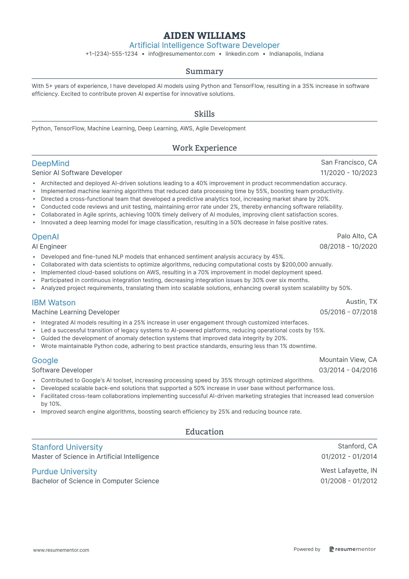 Artificial Intelligence Software Developer