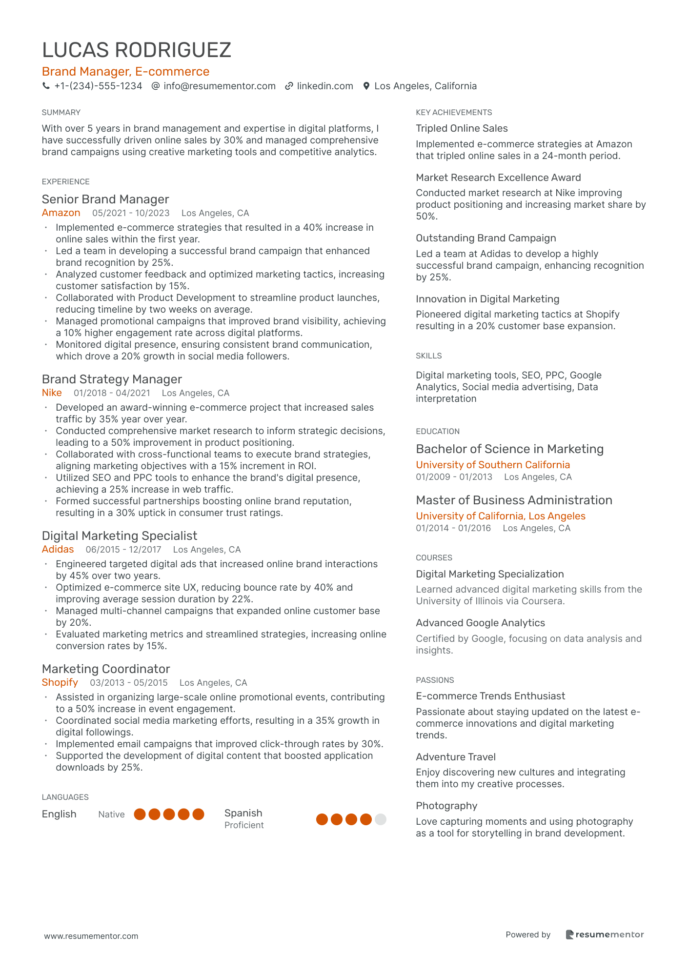 Brand Manager, e commerce