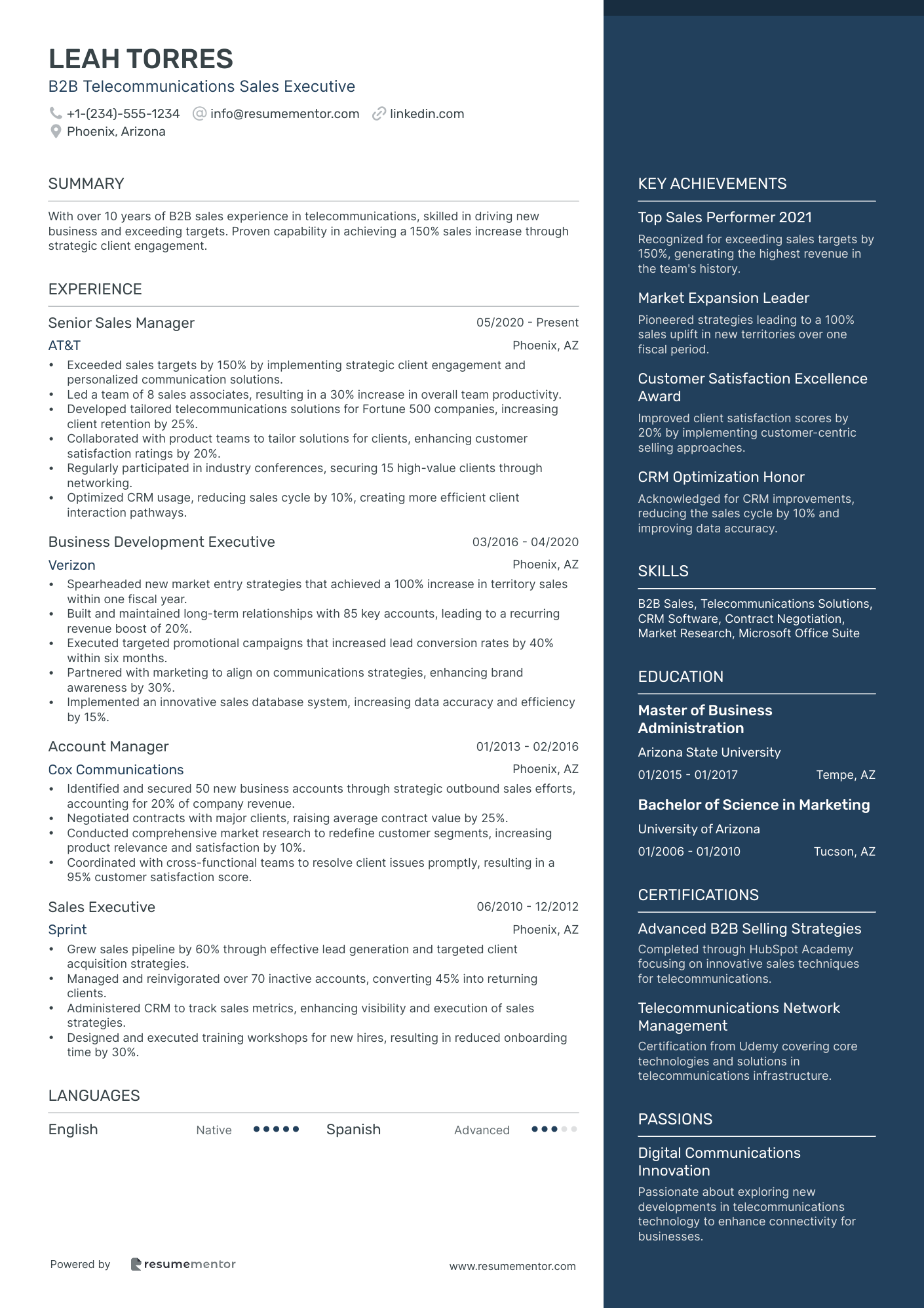 B2B Telecommunications Sales Executive