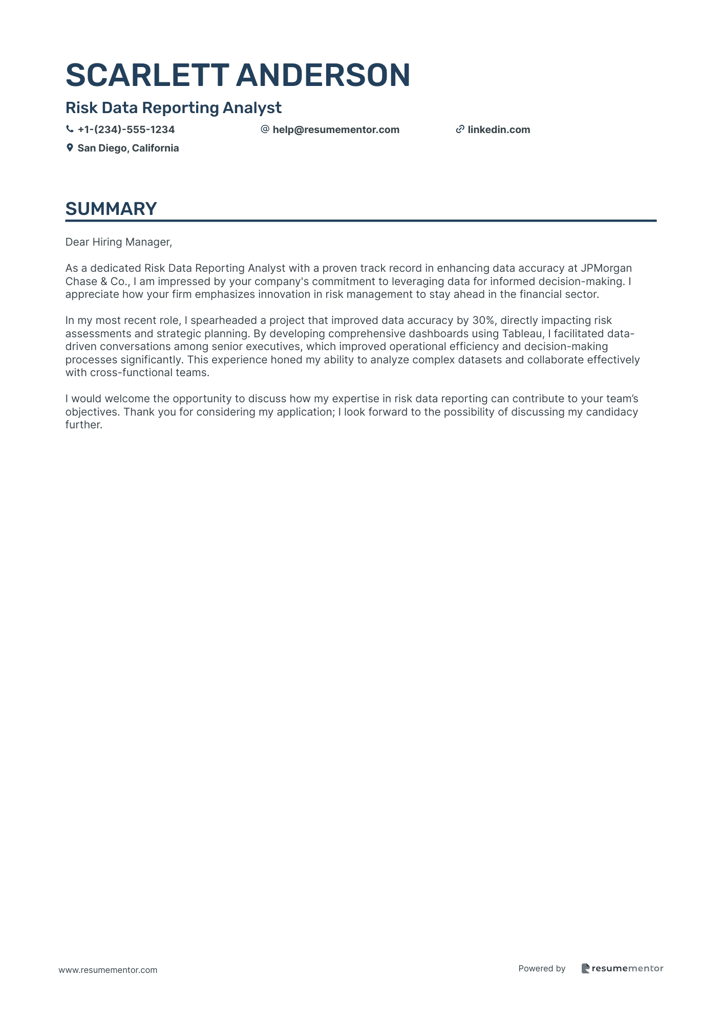 Risk Data Reporting Analyst