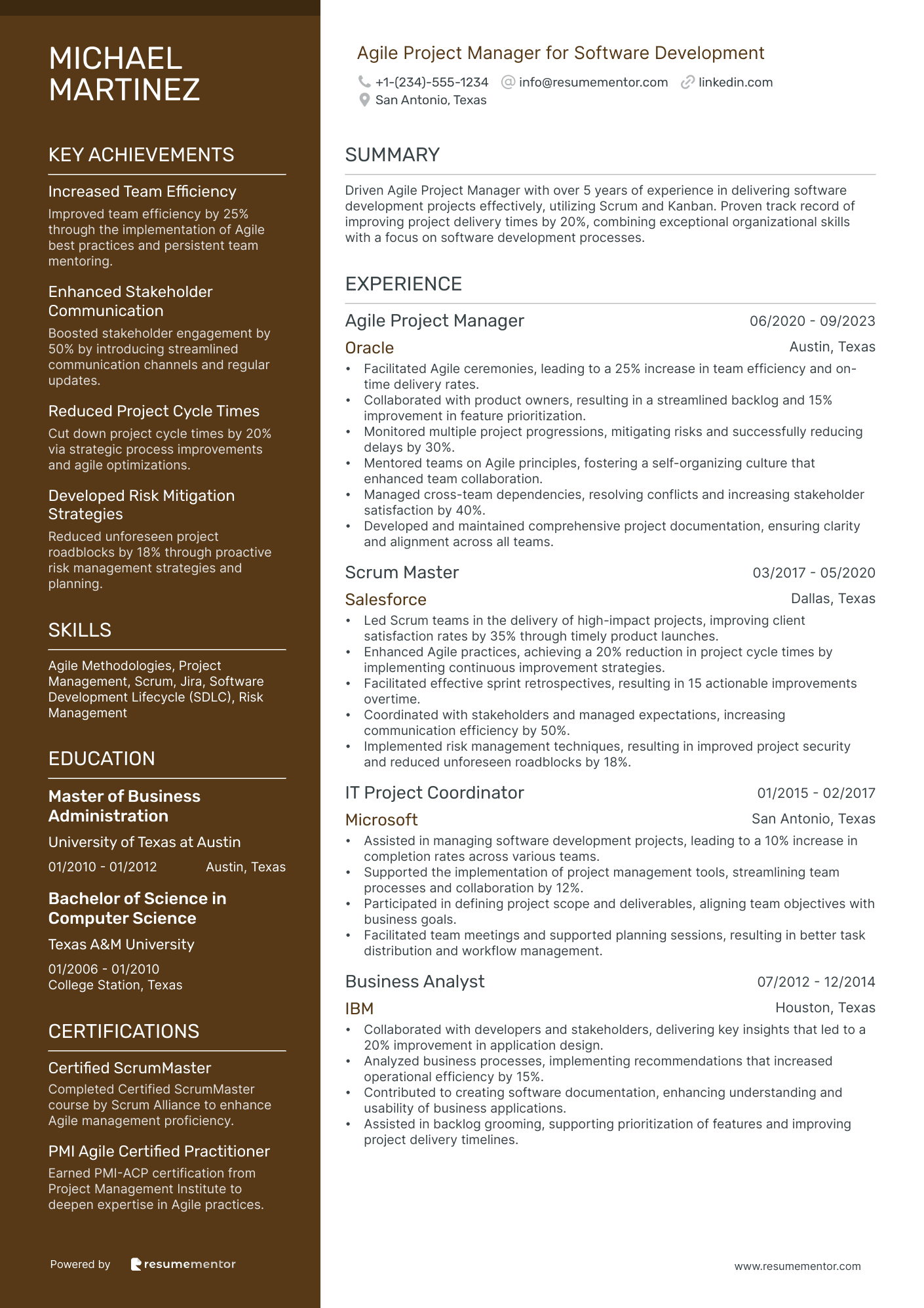 Agile Project Manager for Software Development
