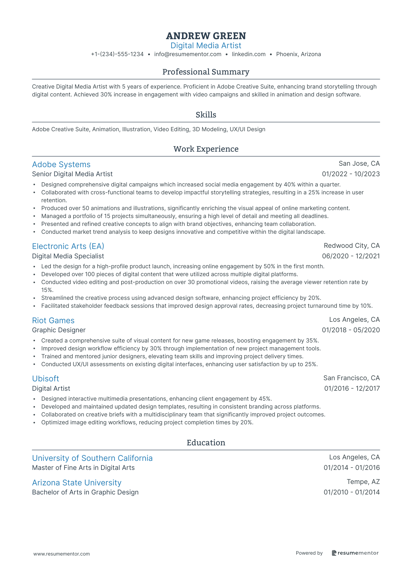 Digital Media Artist