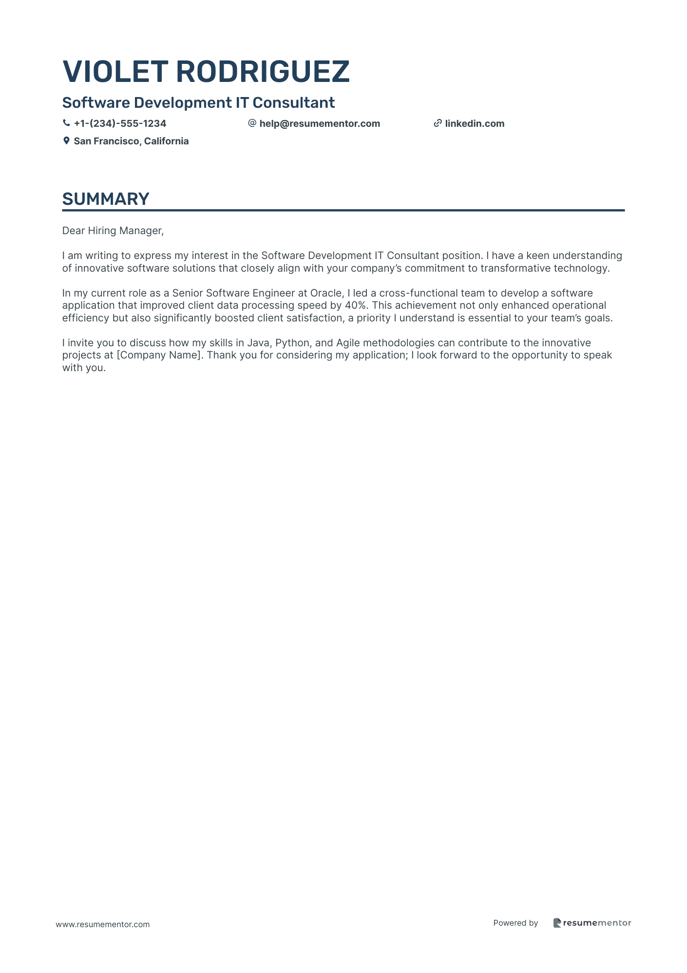 Software Development IT Consultant
