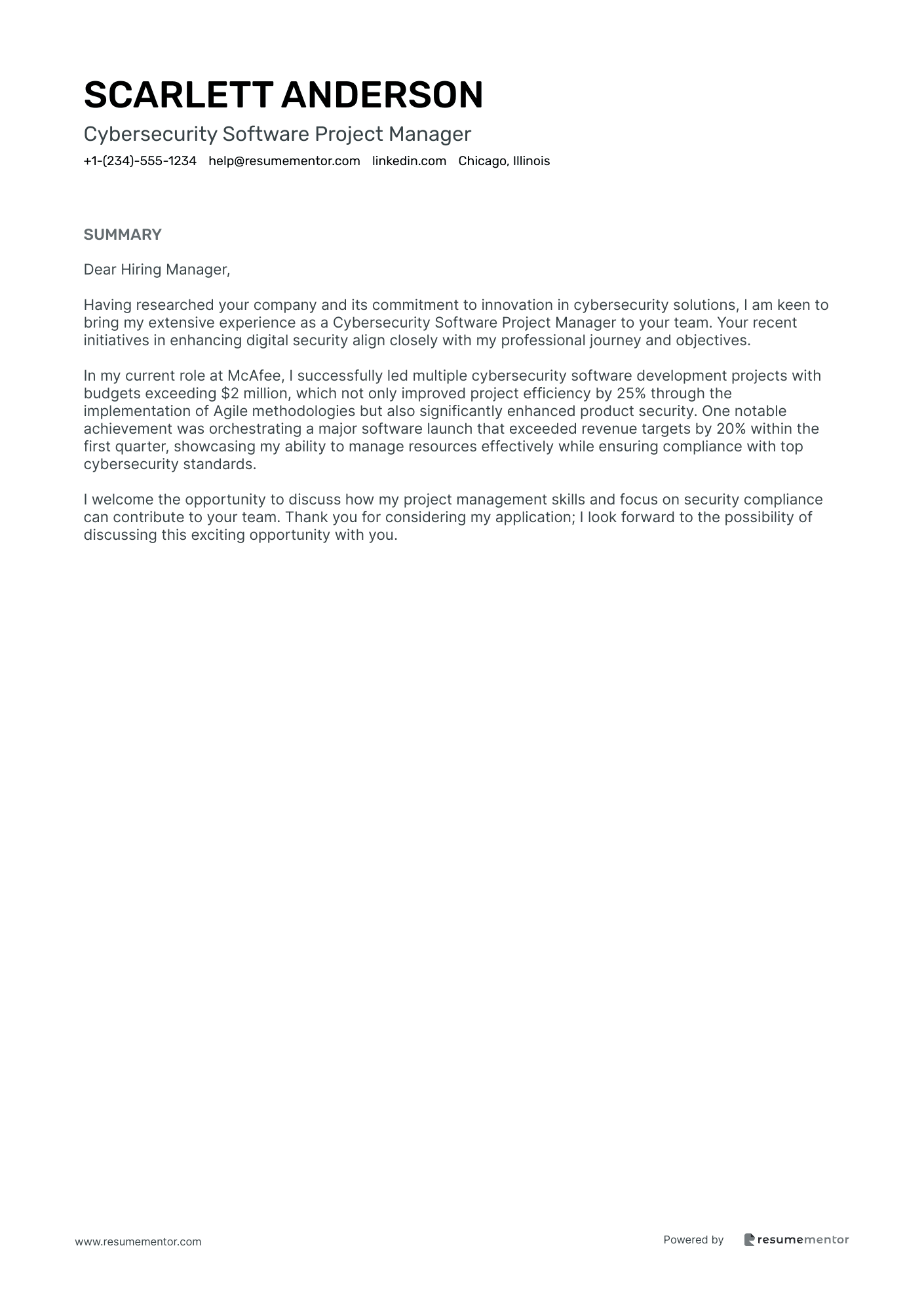 Cybersecurity Software Project Manager
