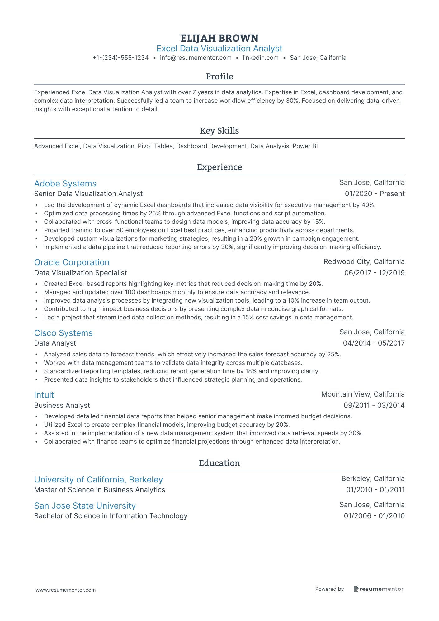Excel Data Visualization Analyst