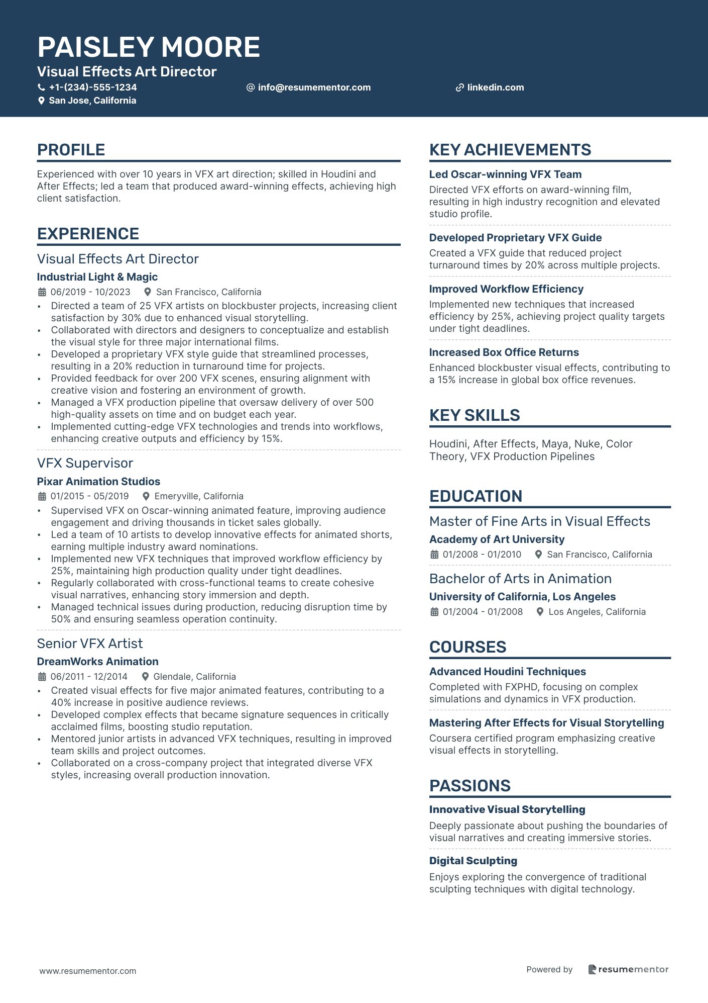 Visual Effects Art Director