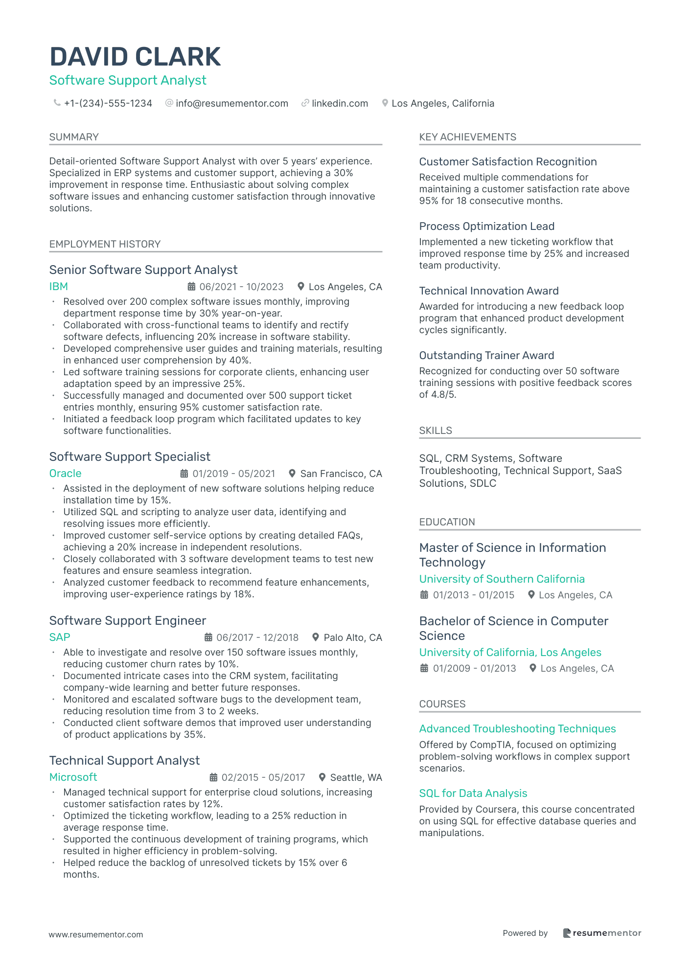 Software Support Analyst