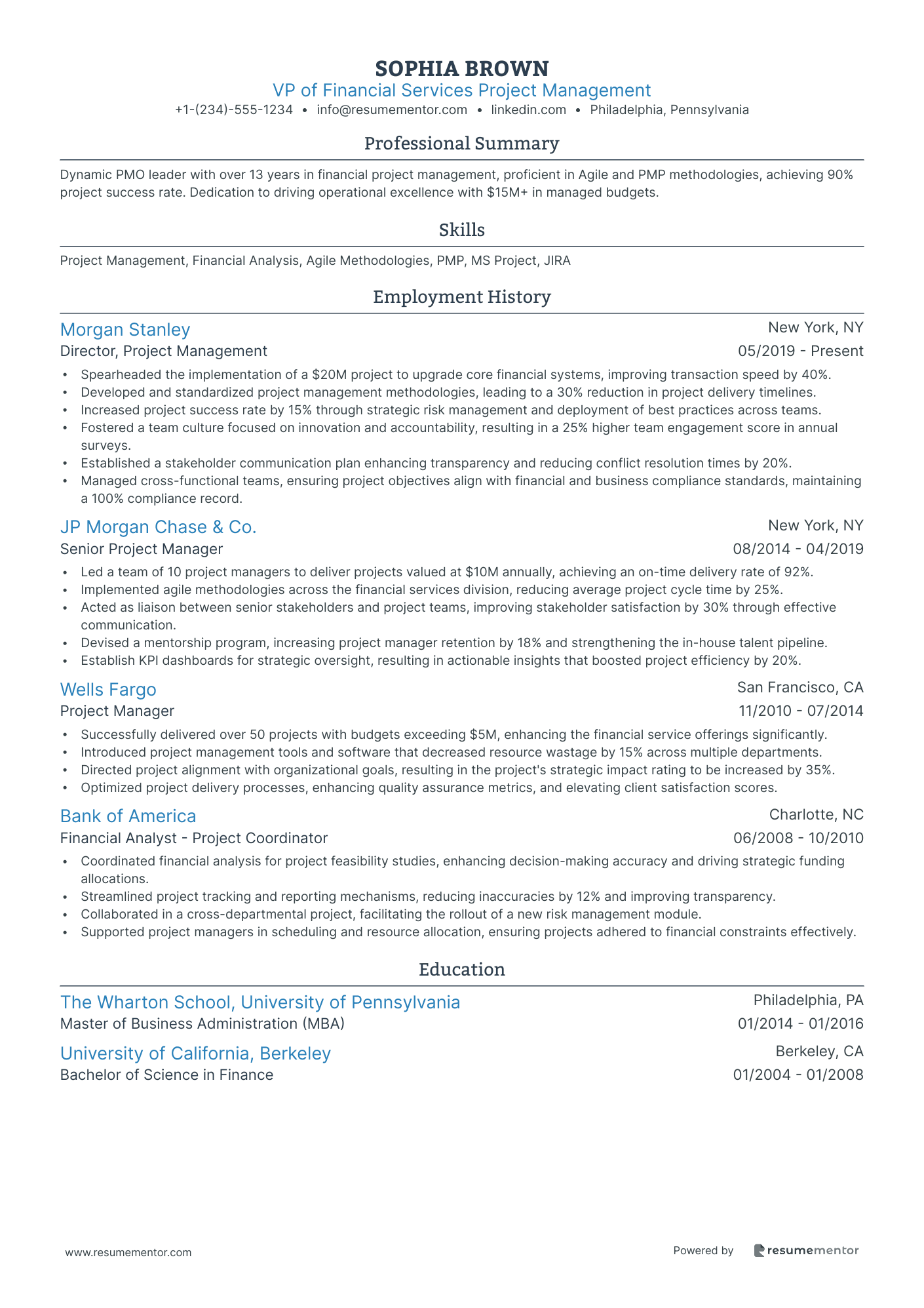 VP of Financial Services Project Management