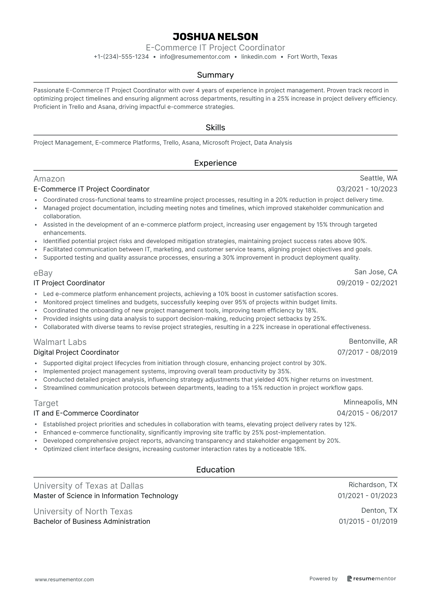 E Commerce IT Project Coordinator