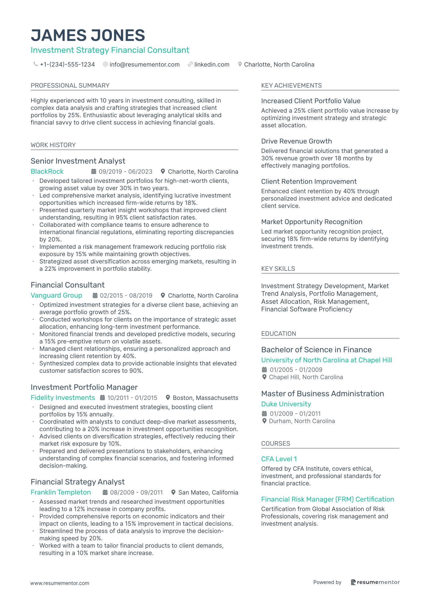 Investment Strategy Financial Consultant