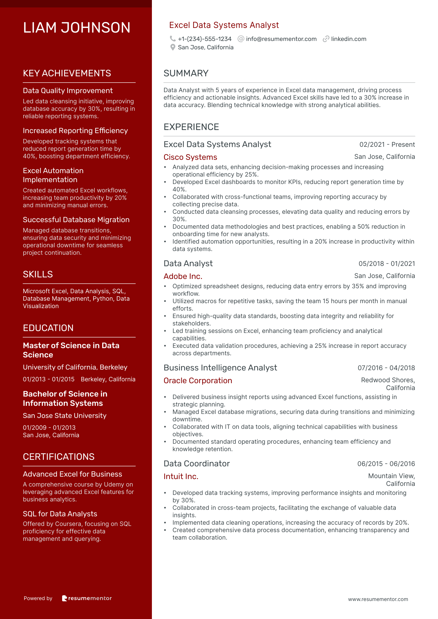 Excel Data Systems Analyst