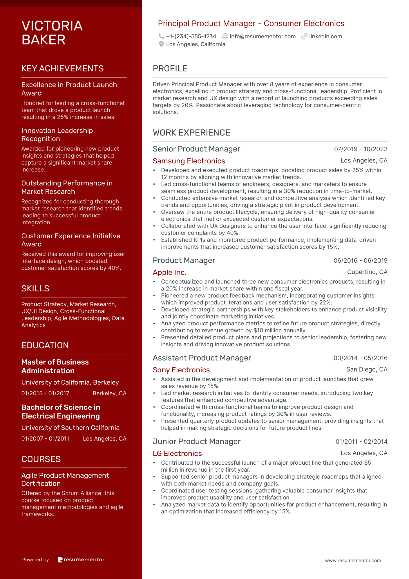 Principal Product Manager   Consumer Electronics