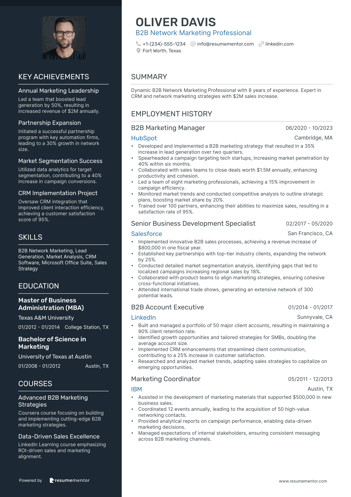 B2B Network Marketing Professional
