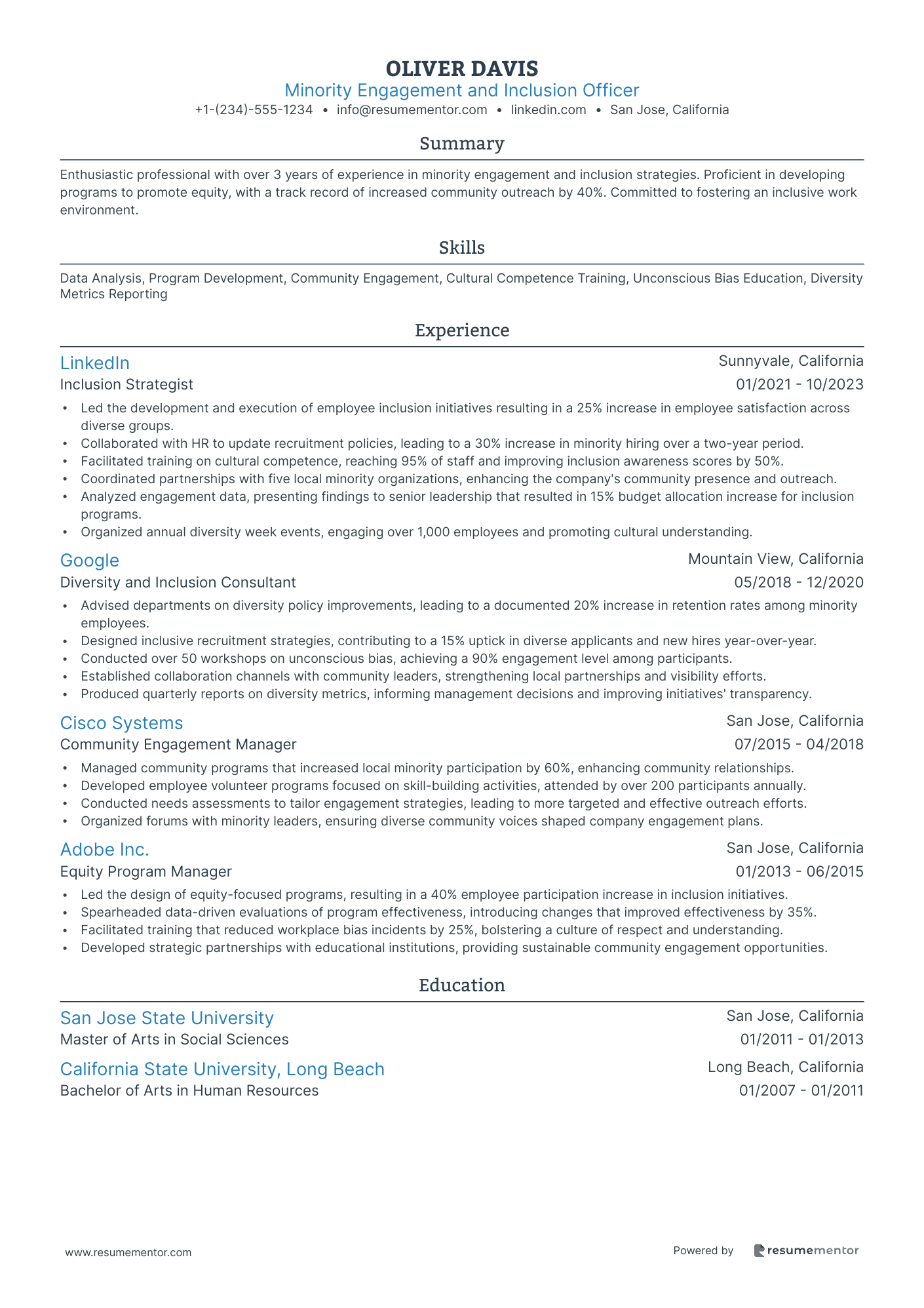 Minority Engagement and Inclusion Officer