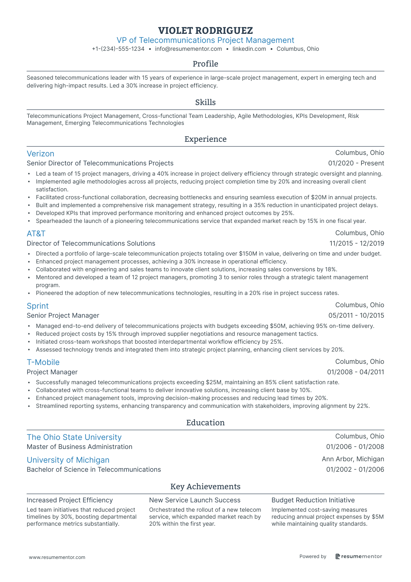 VP of Telecommunications Project Management