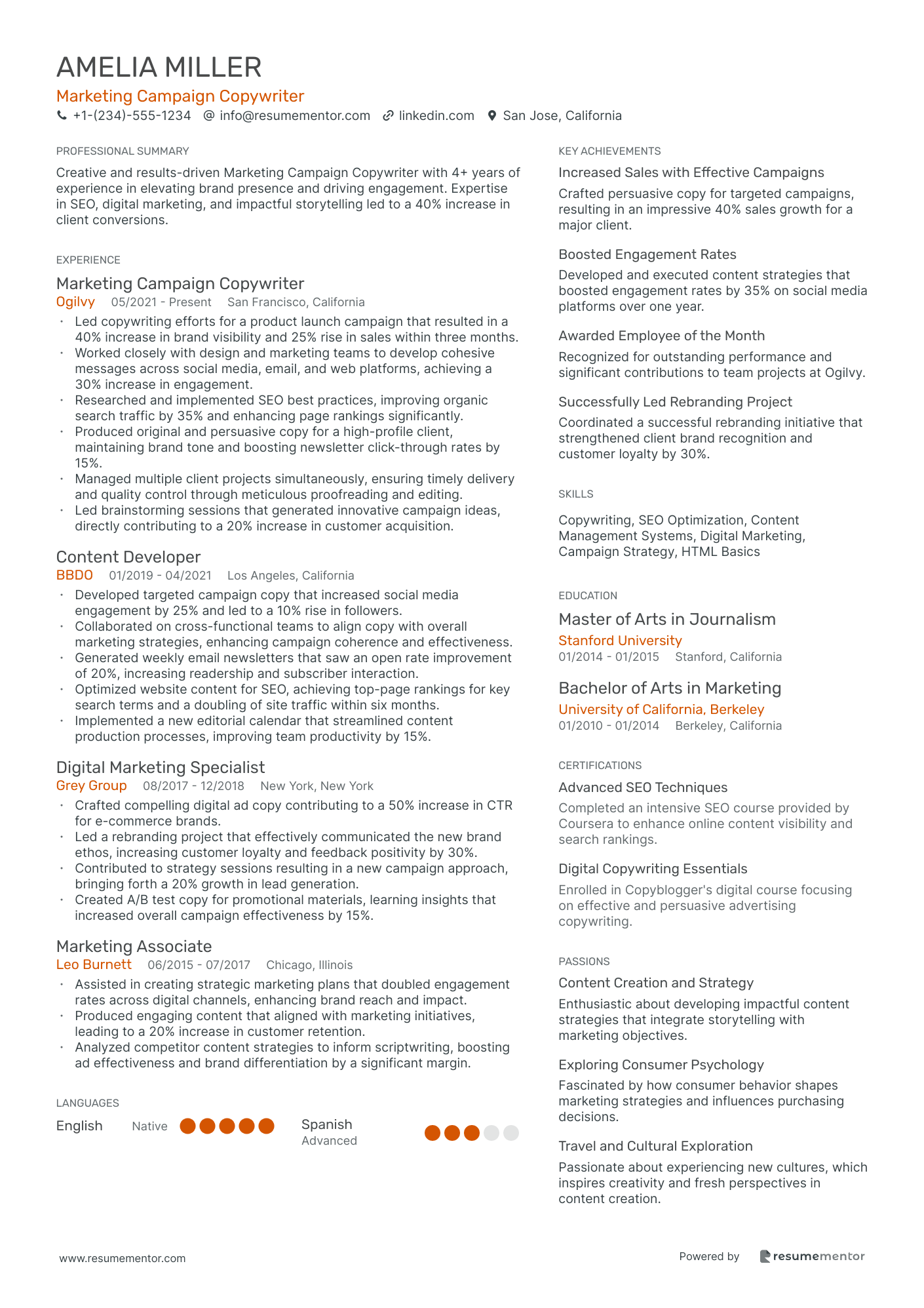 Marketing Campaign Copywriter