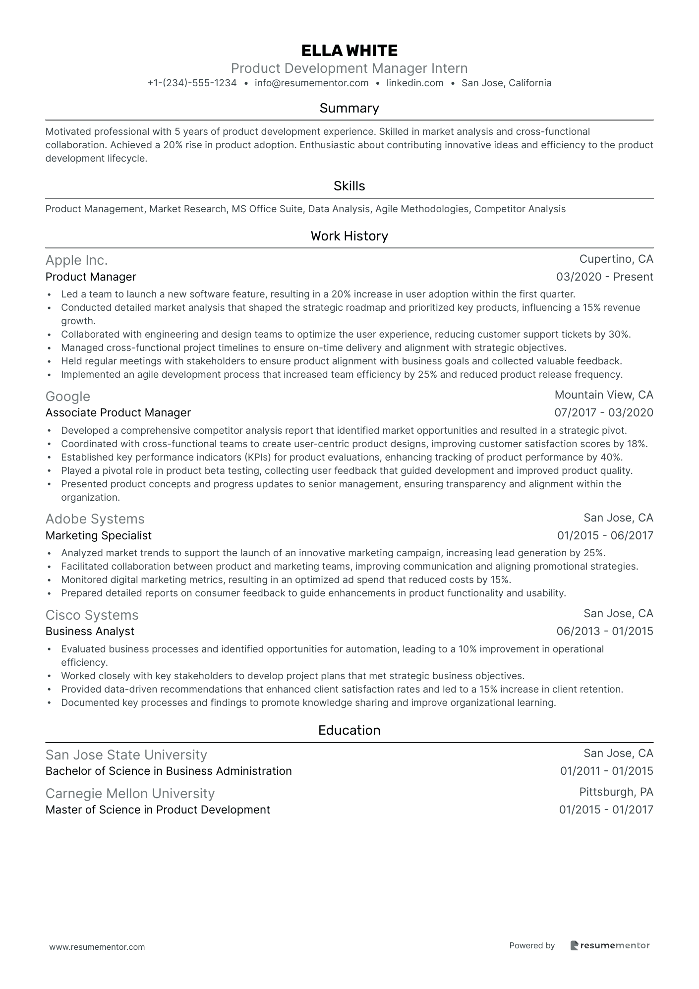 Product Development Manager Intern
