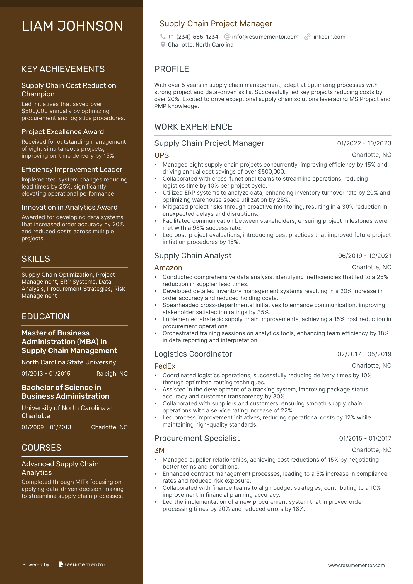 Supply Chain Project Manager