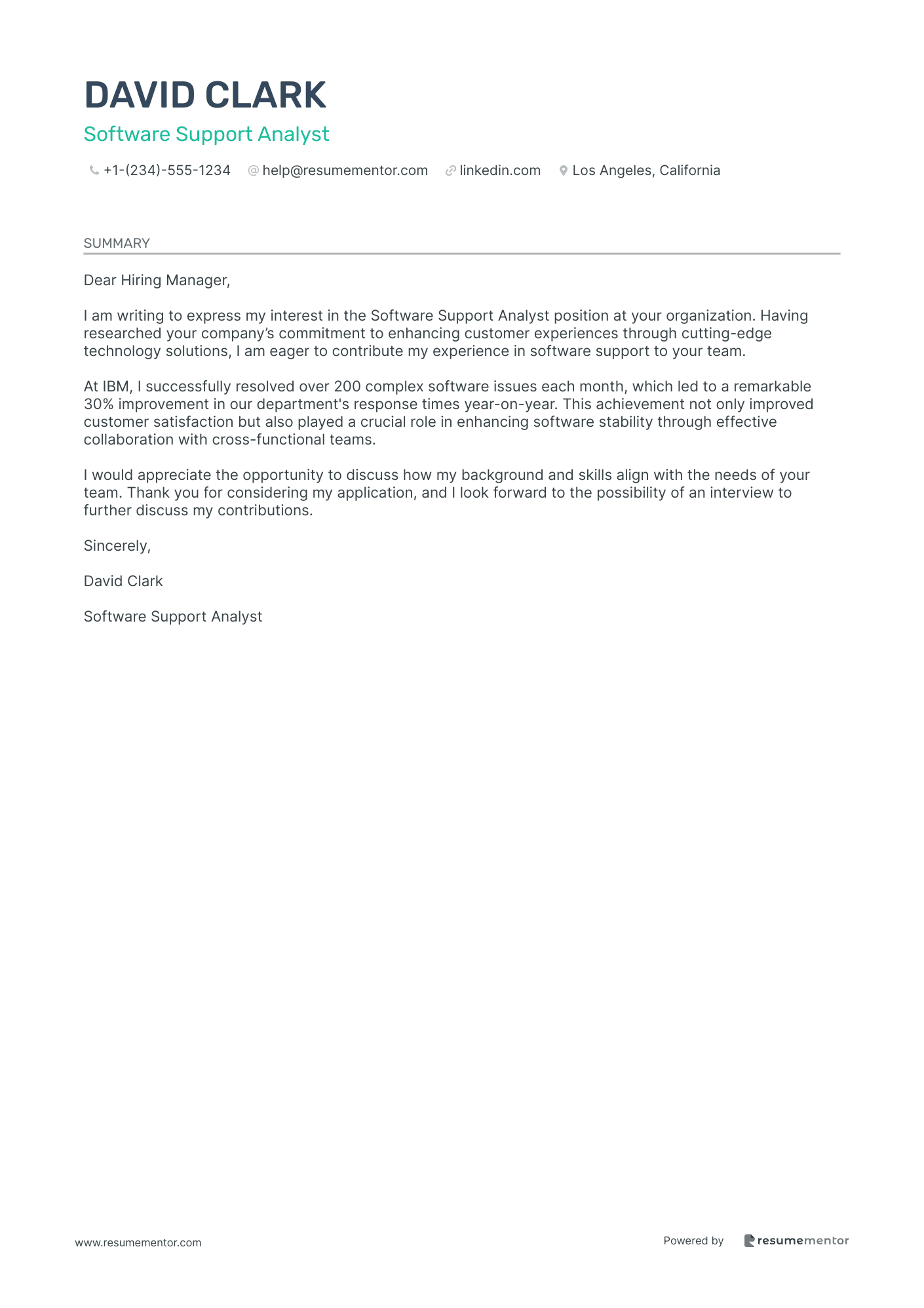 Software Support Analyst