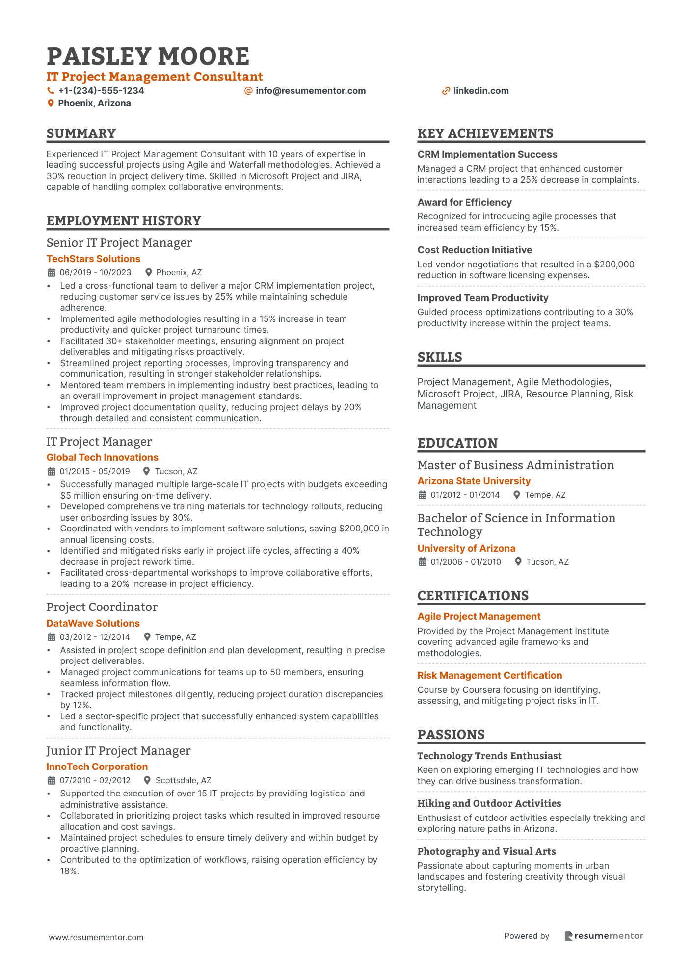 IT Project Management Consultant