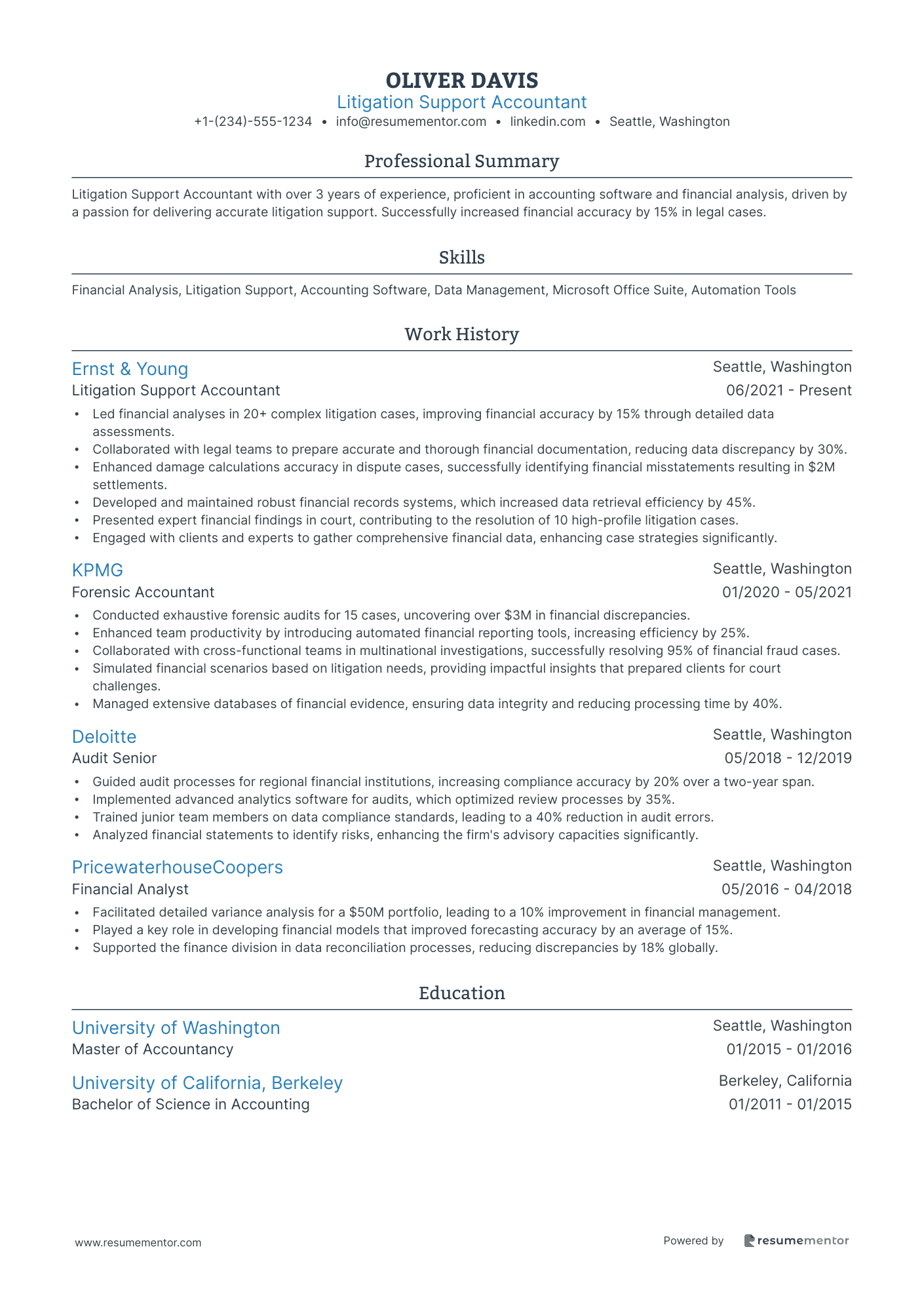 Litigation Support Accountant